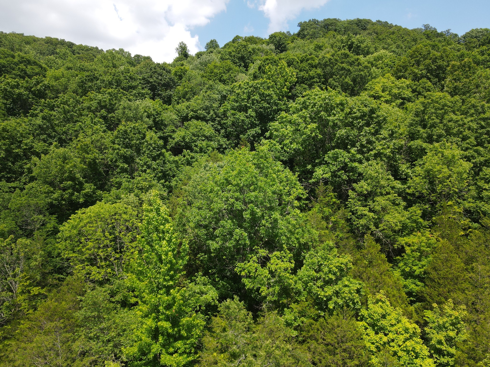 3400 Sycamore Creek Rd