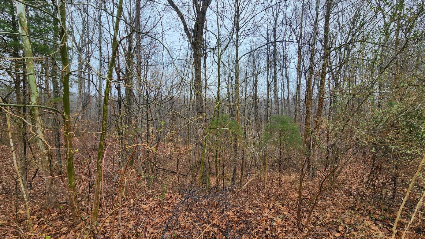1120 Jacobs Ct