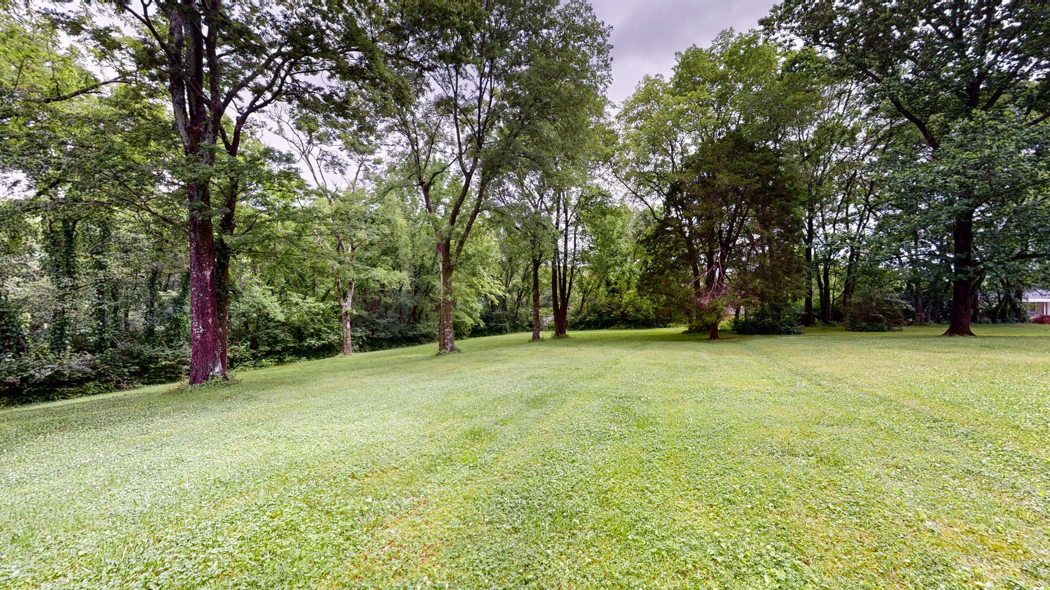 113 Country Club Dr