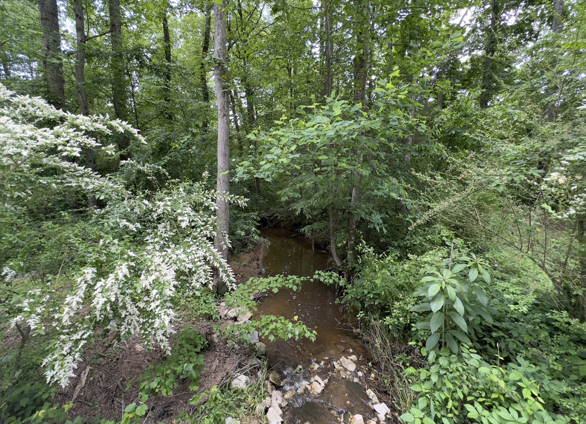 181 Holder Ln