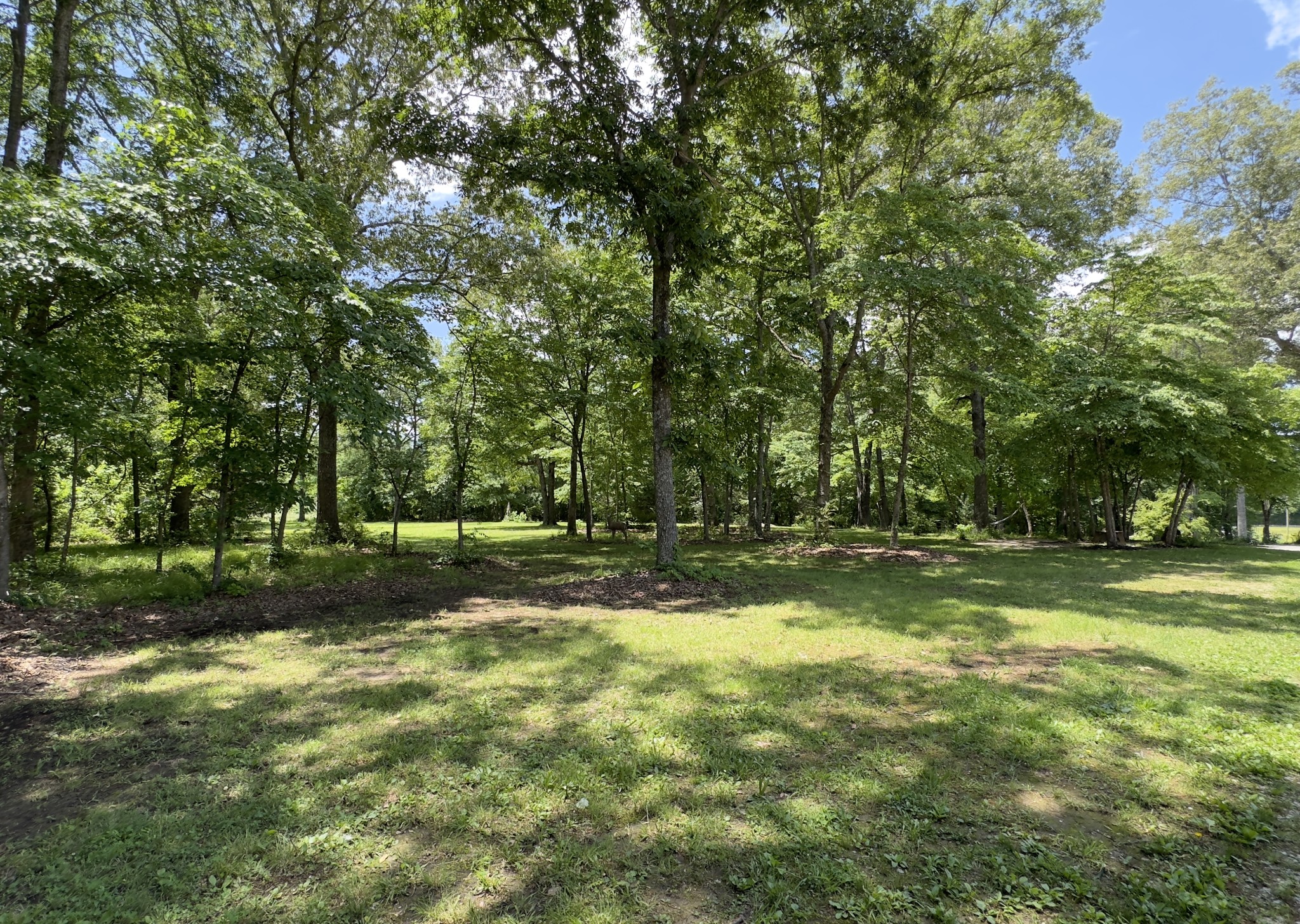 181 Holder Ln
