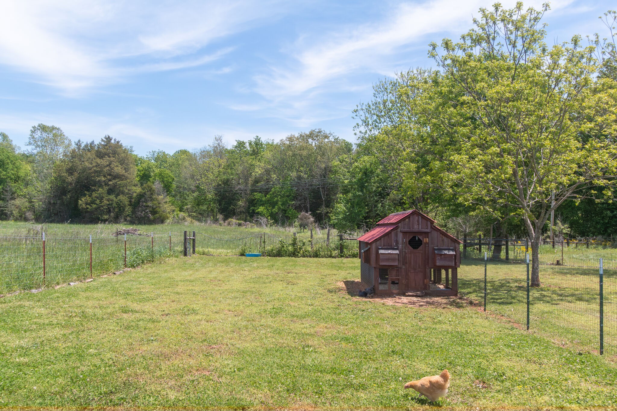1281 Hillsboro Viola Rd
