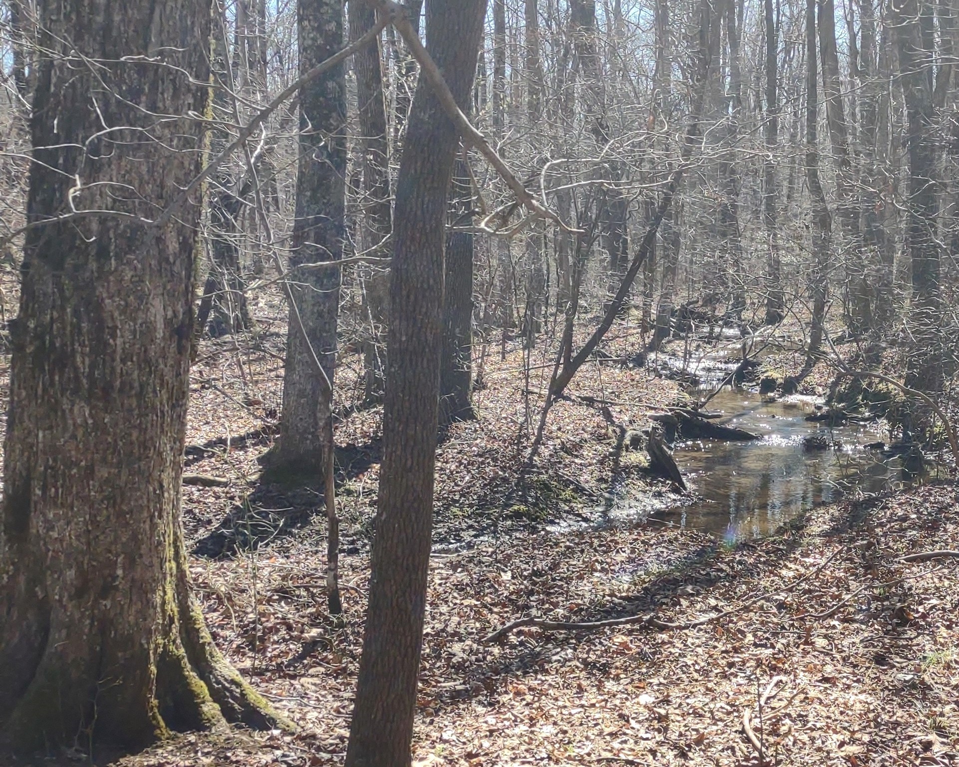 0 Deer Run Road