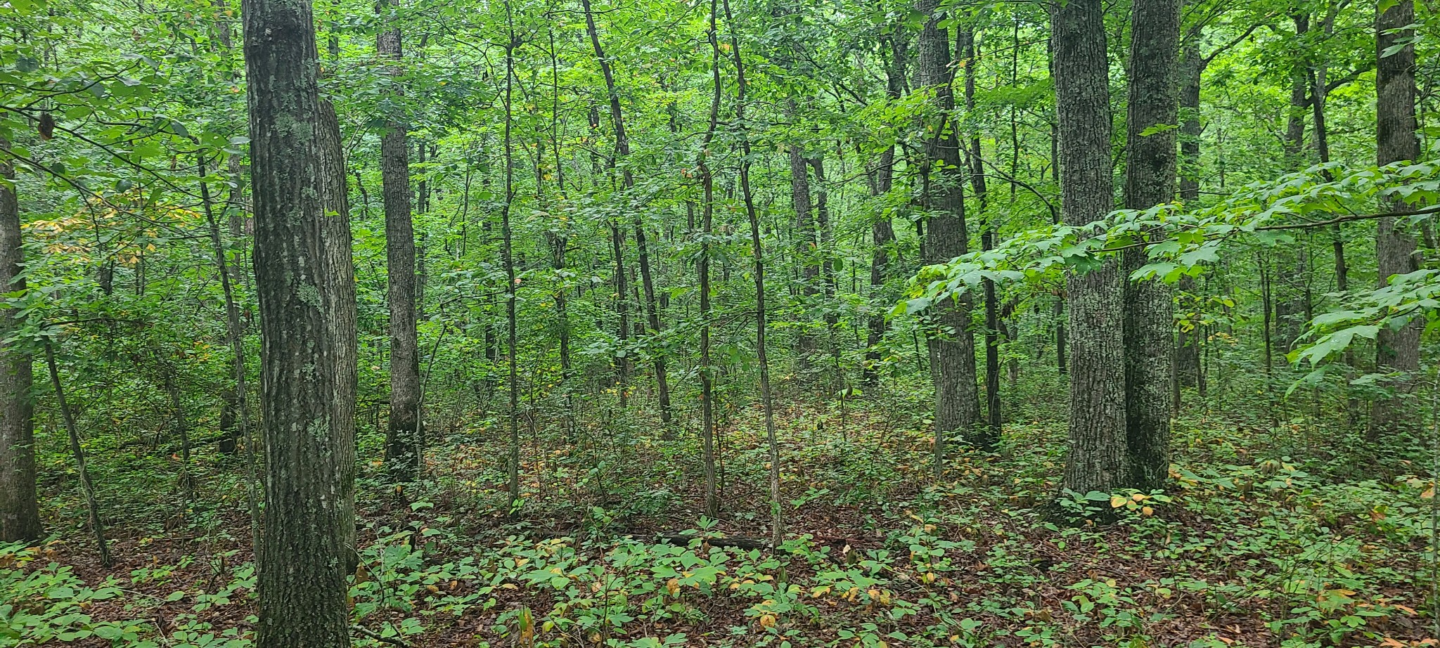 0 Deer Run Road