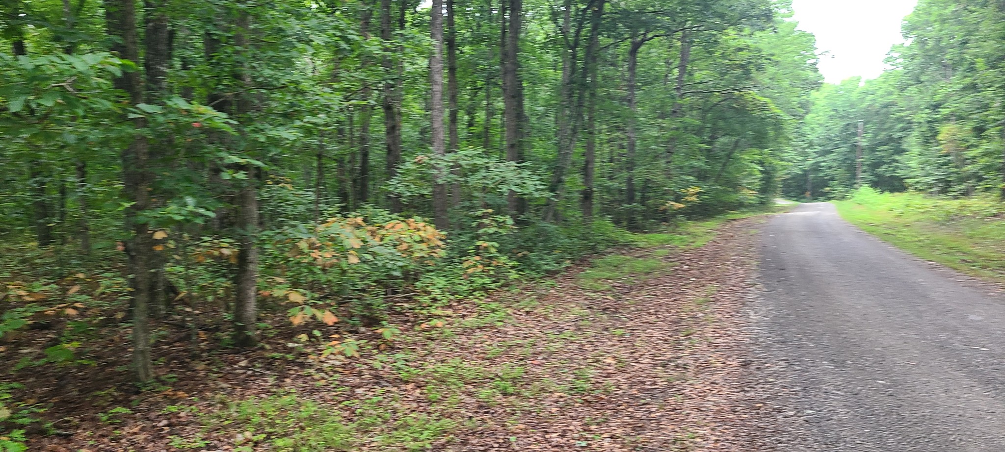 0 Deer Run Road