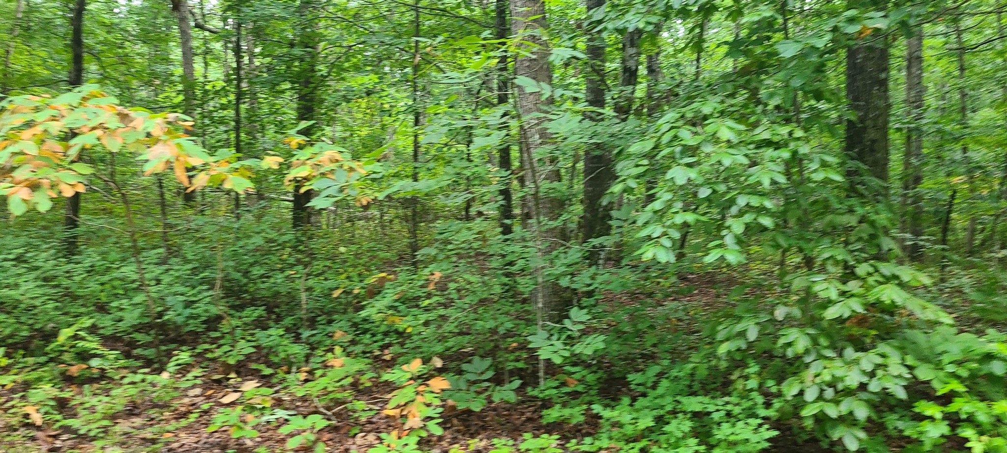 0 Deer Run Road