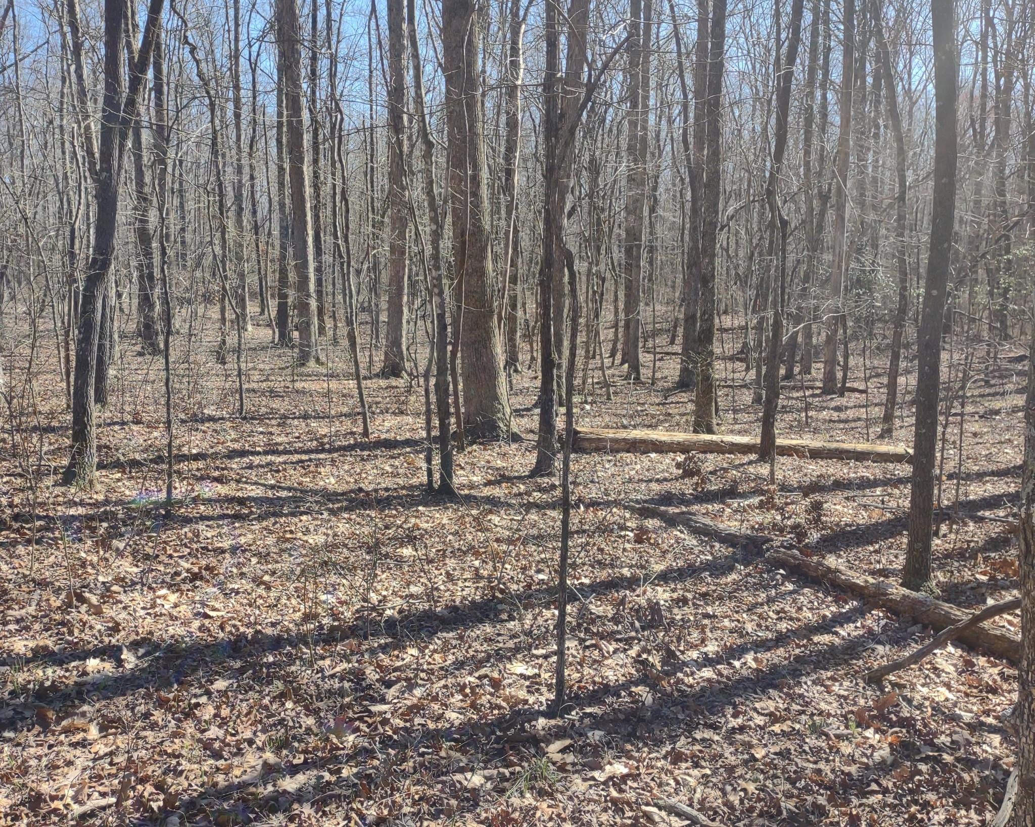 0 Deer Run Road