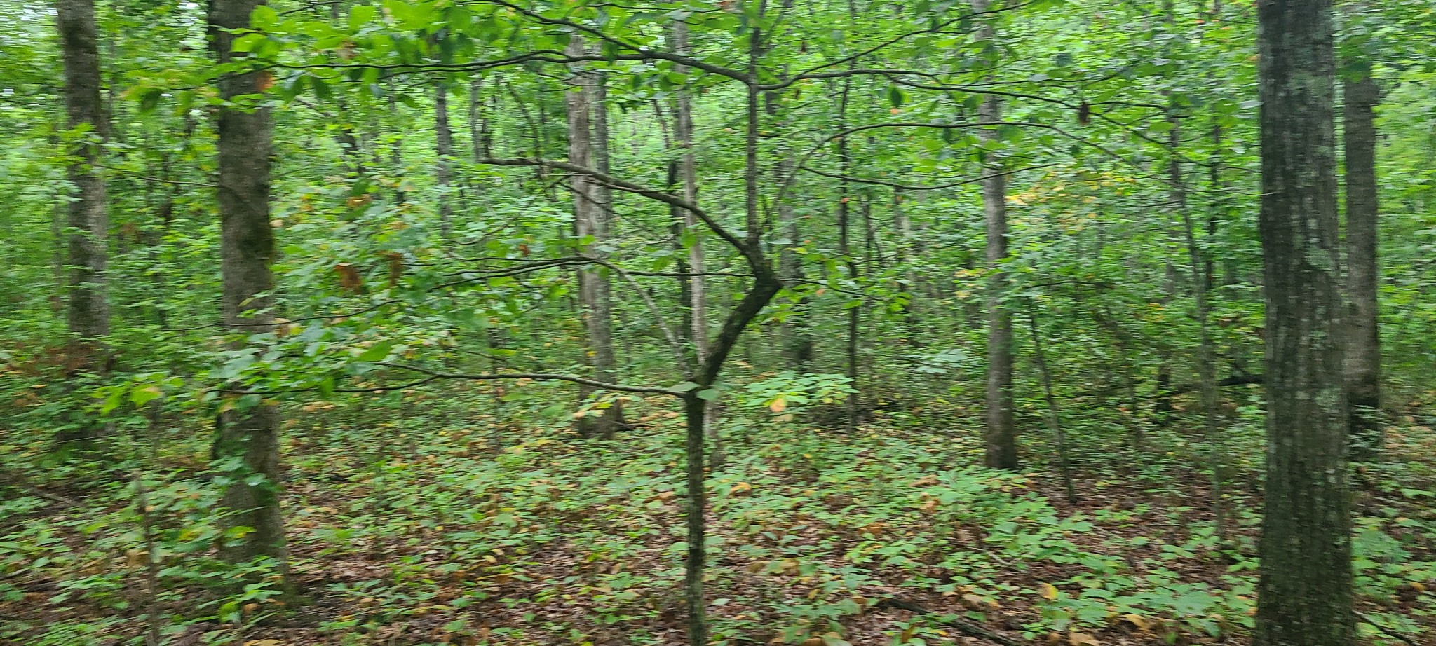 0 Deer Run Road