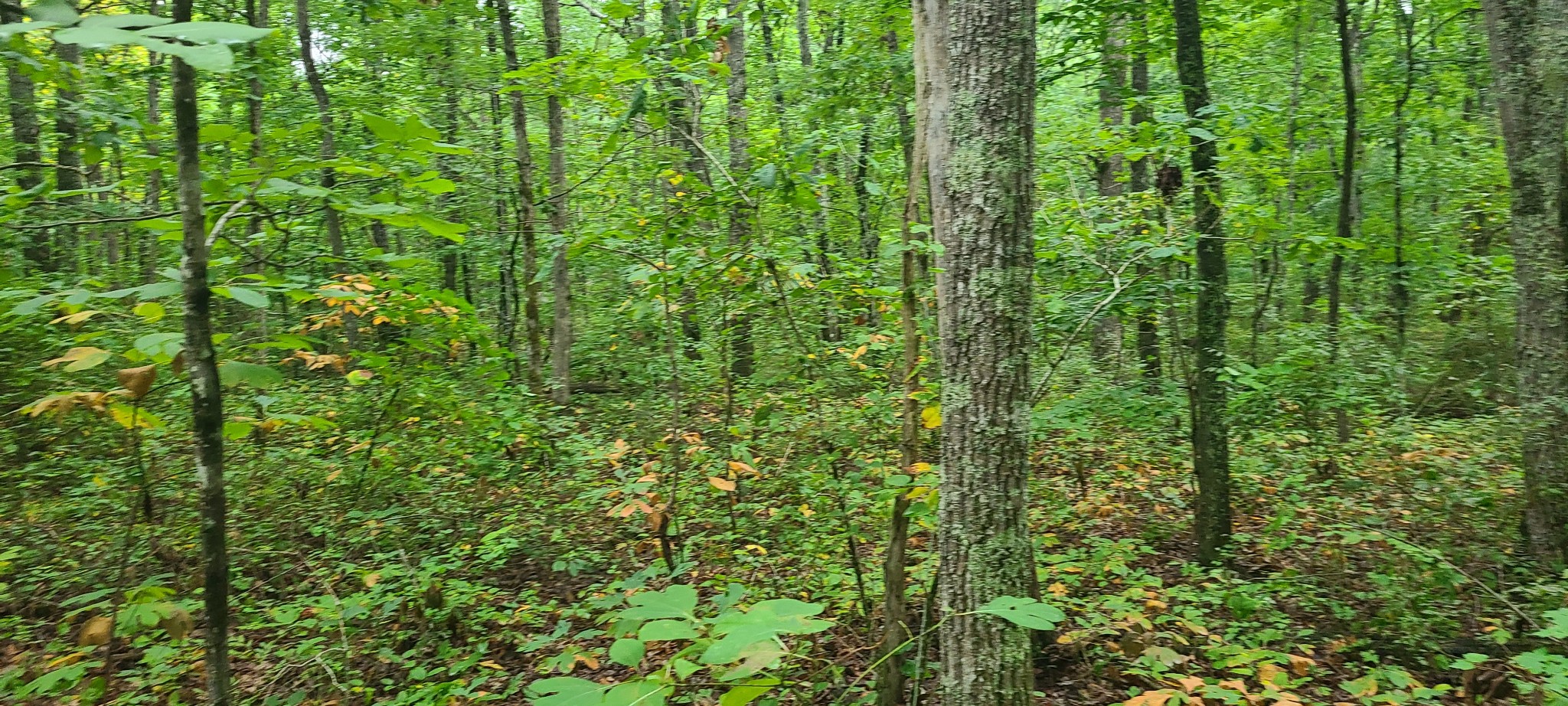 0 Deer Run Road