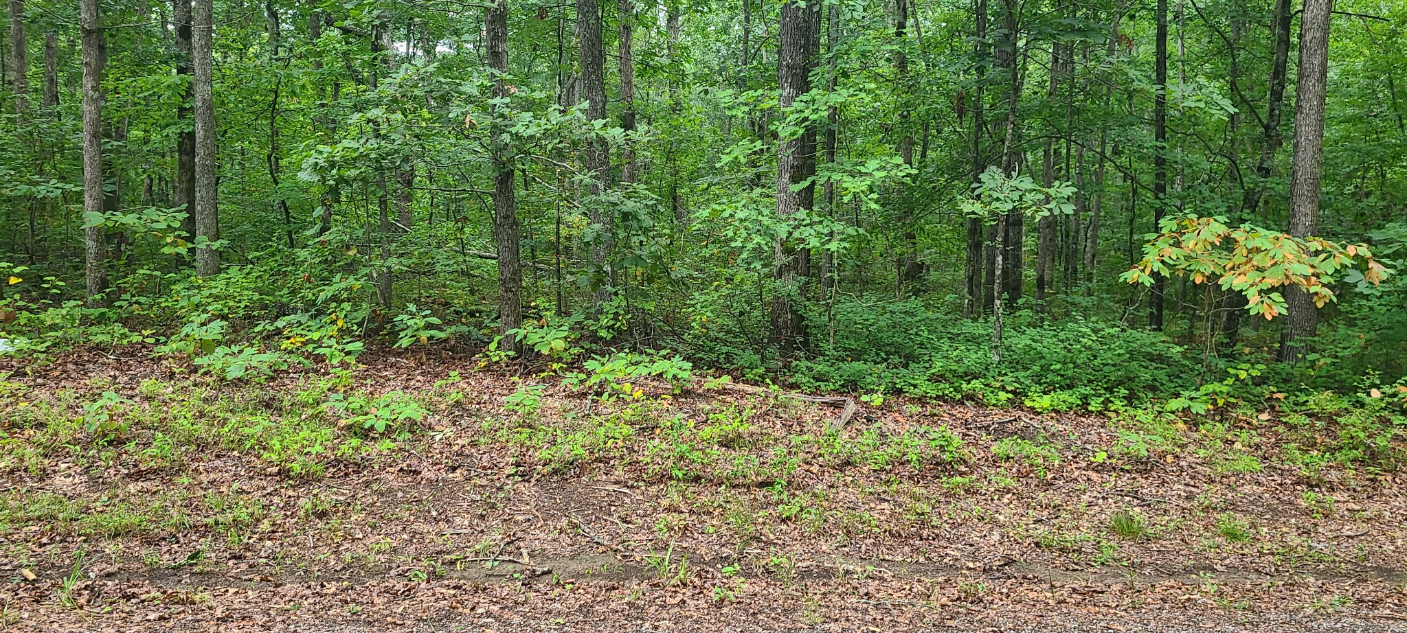 0 Deer Run Road