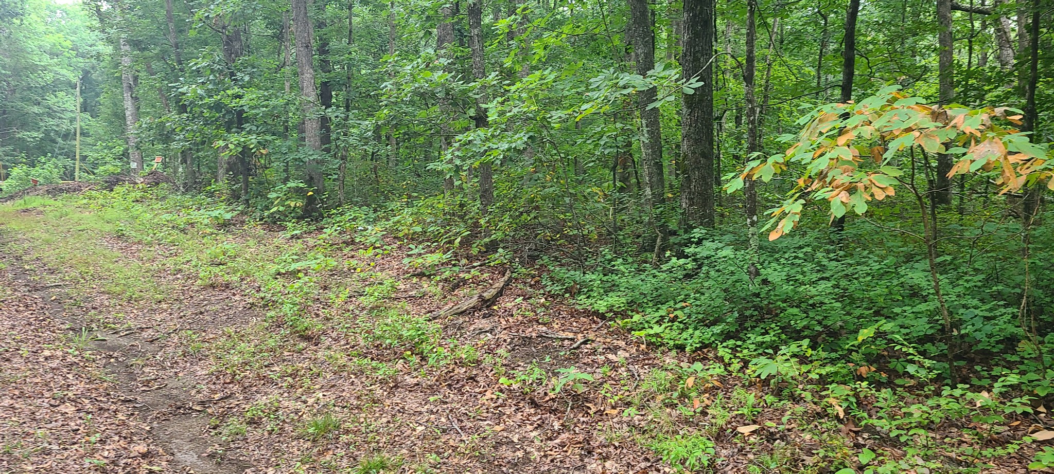 0 Deer Run Road