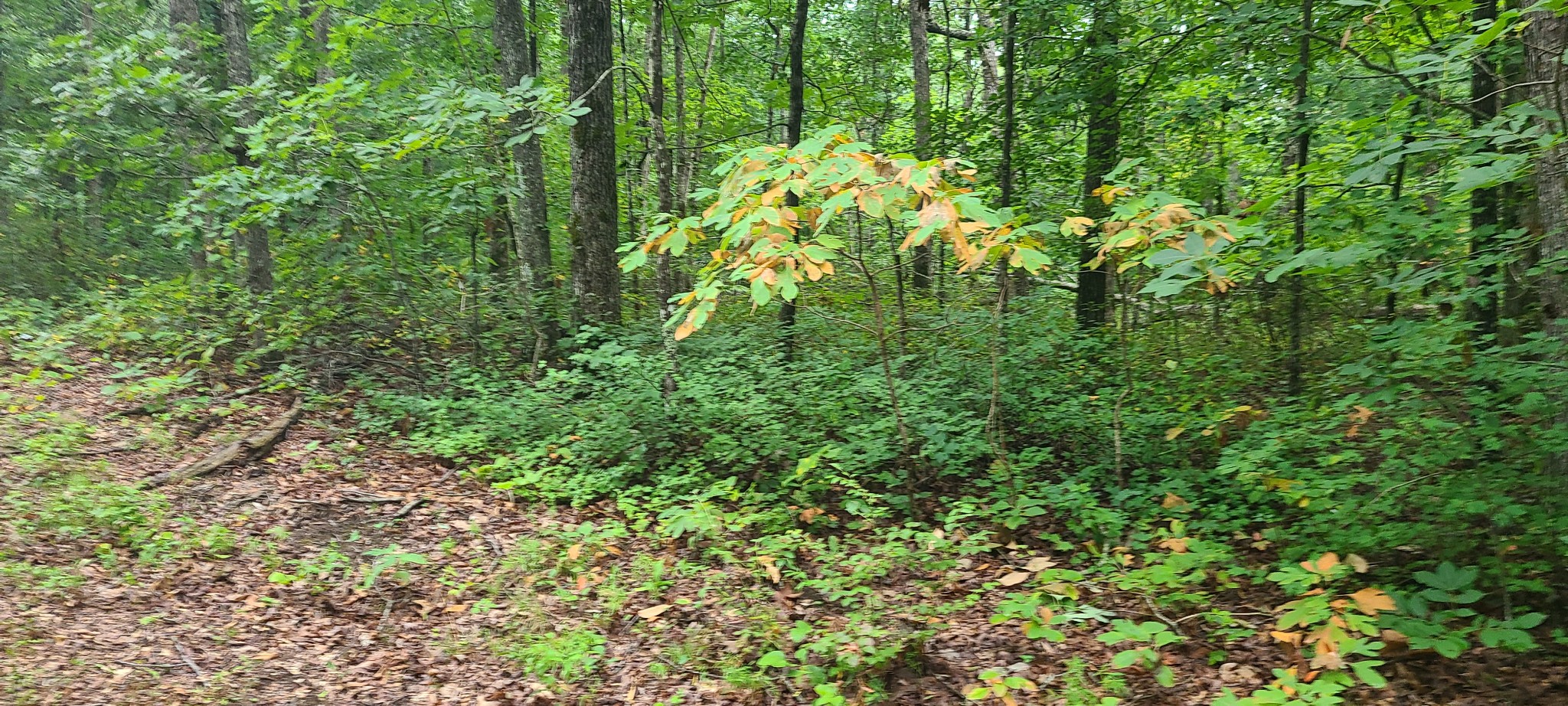0 Deer Run Road