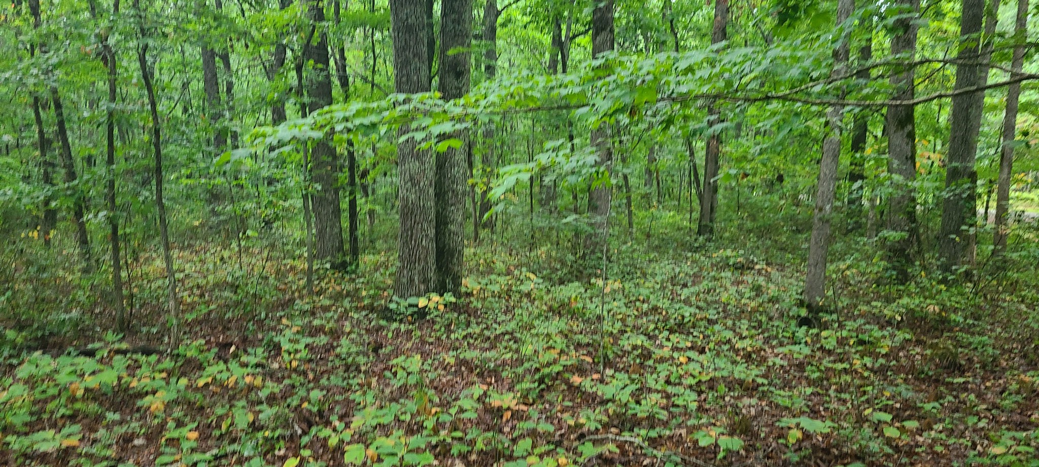 0 Deer Run Road
