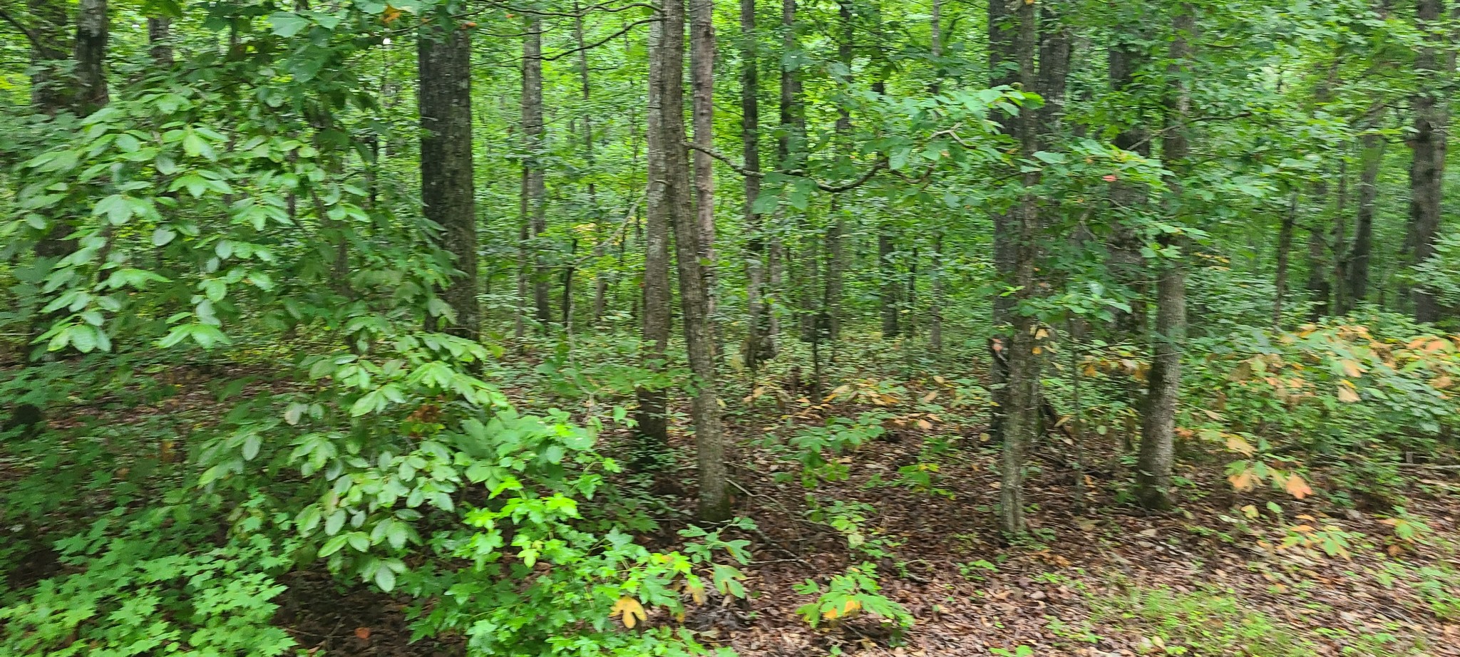 0 Deer Run Road