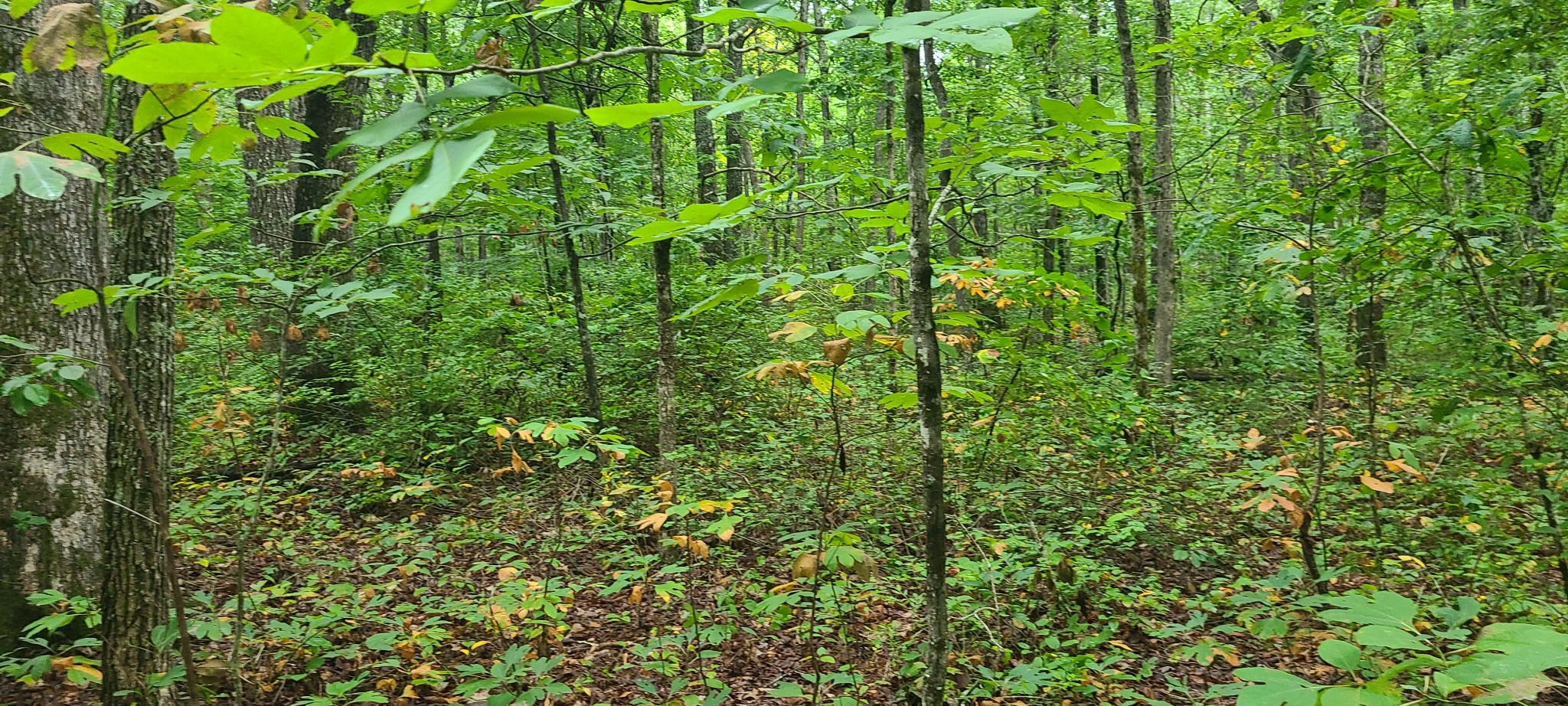 0 Deer Run Road