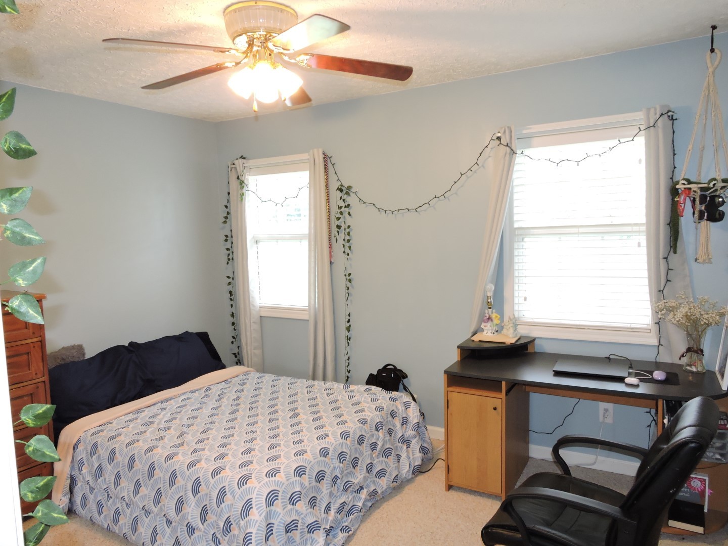 167 Big Oak Dr