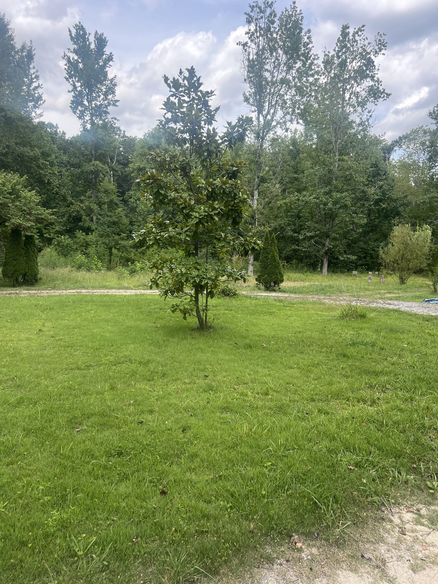 250 Shiloh Rd
