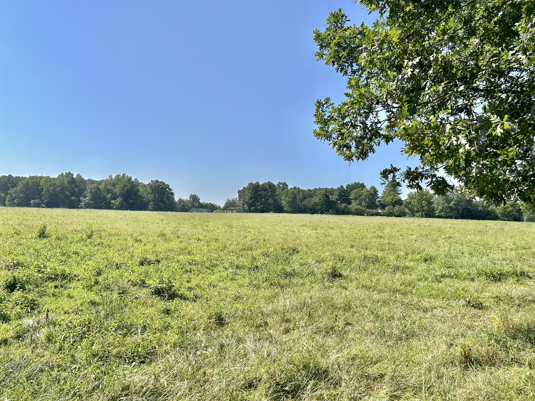 3972 McMinnville Hwy