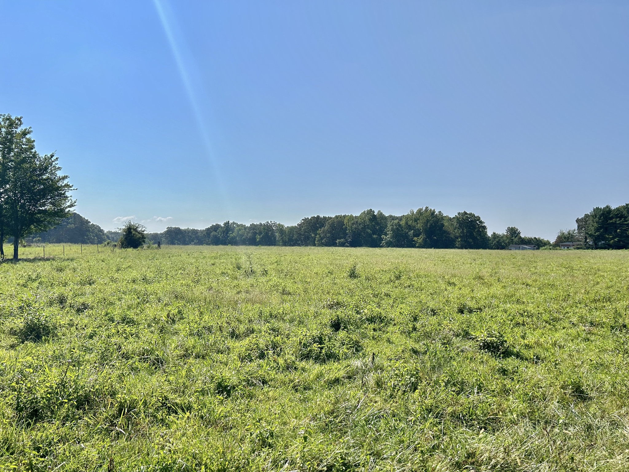 3972 McMinnville Hwy