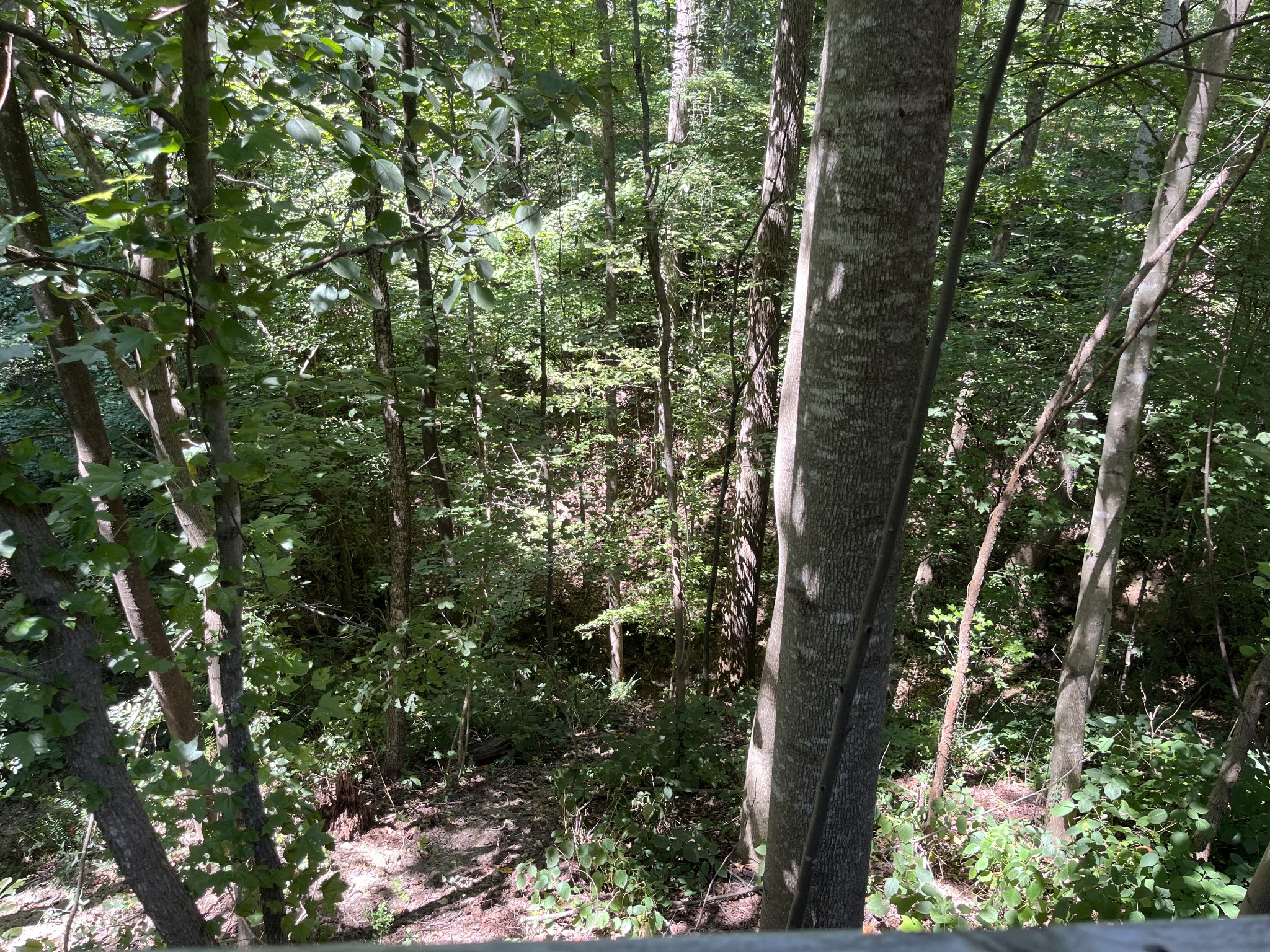 2049 Farrar Hill Rd