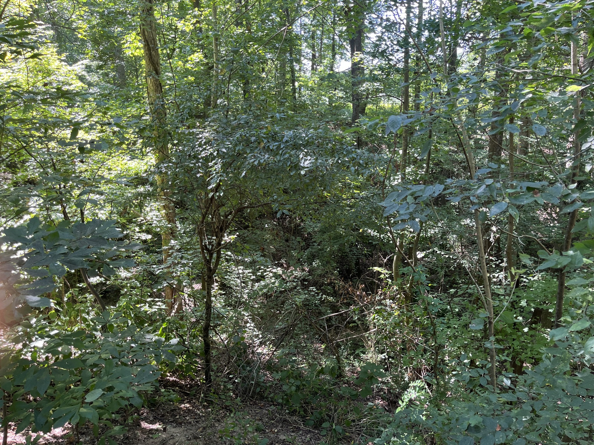 2049 Farrar Hill Rd