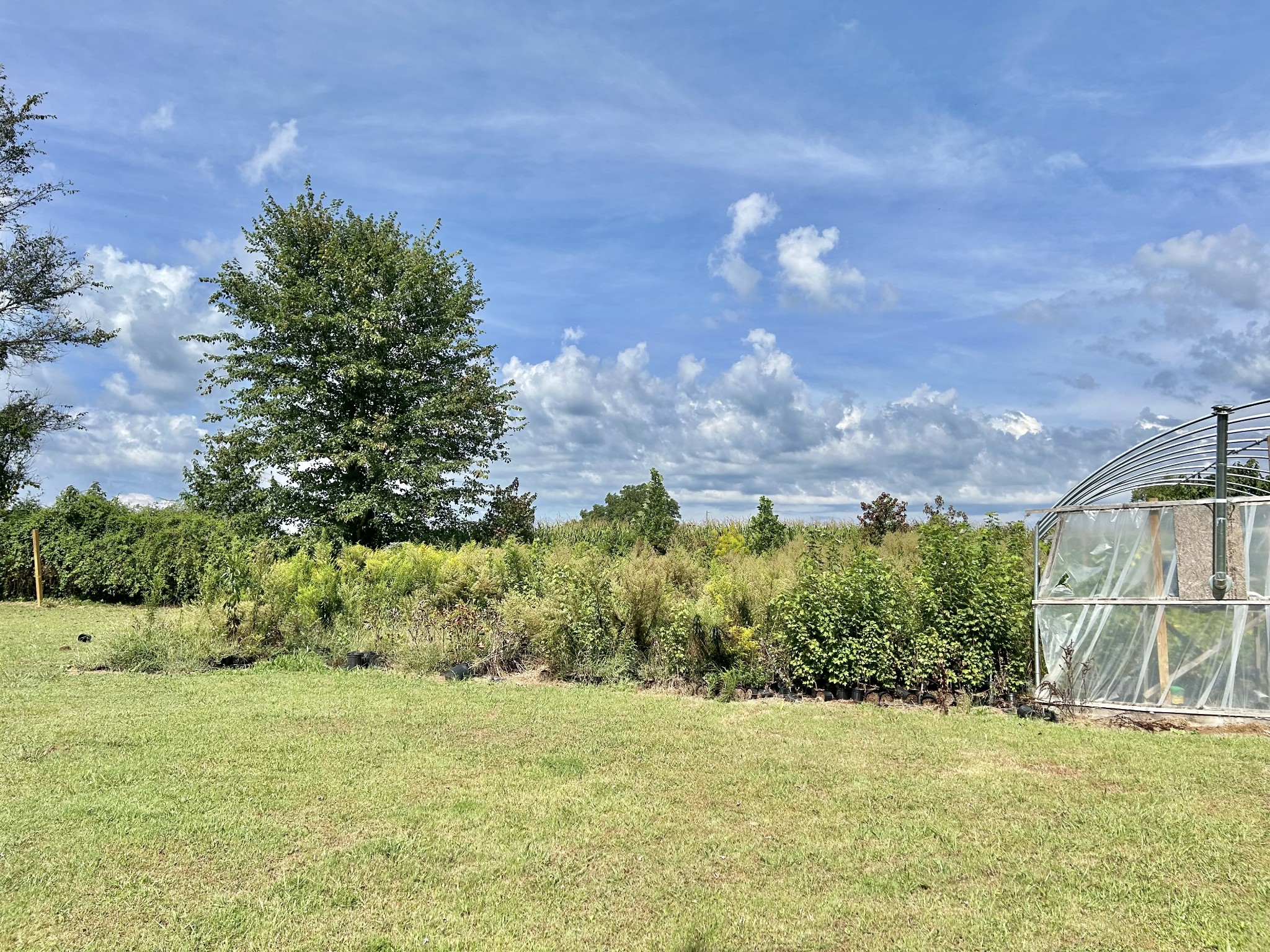 6531 Short Mountain Rd