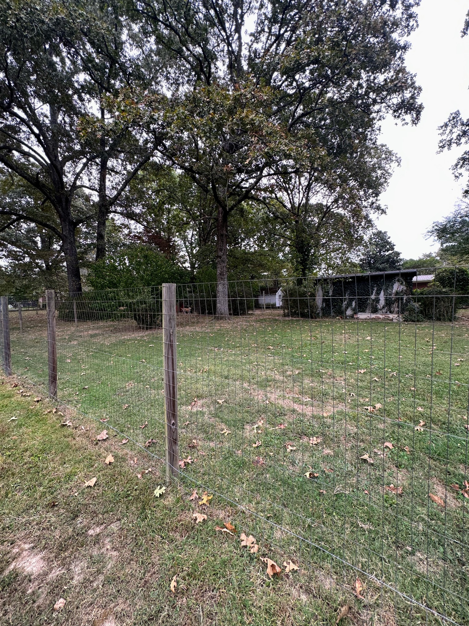 276 Cook Rd
