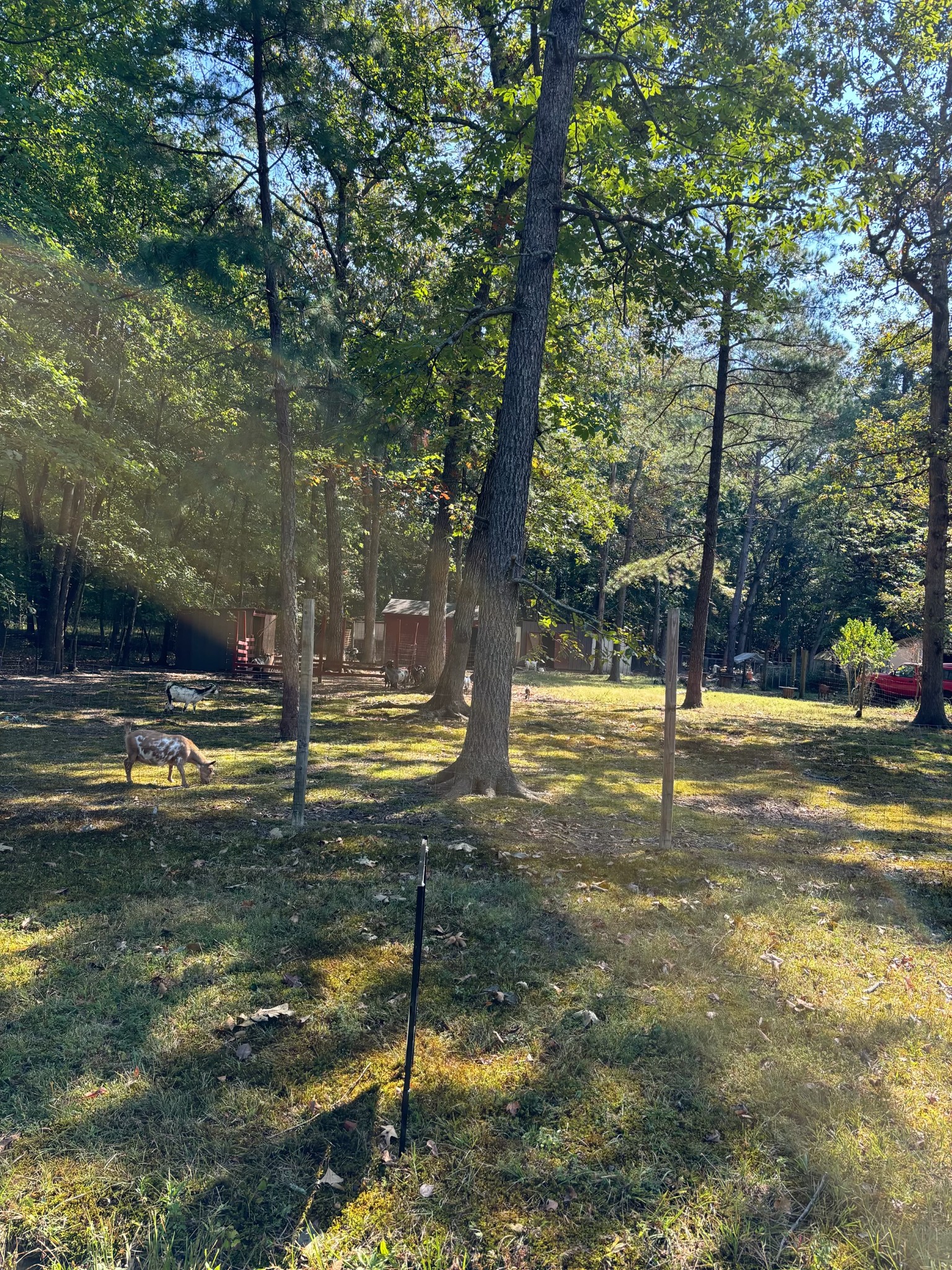 0 Willow Oak Road