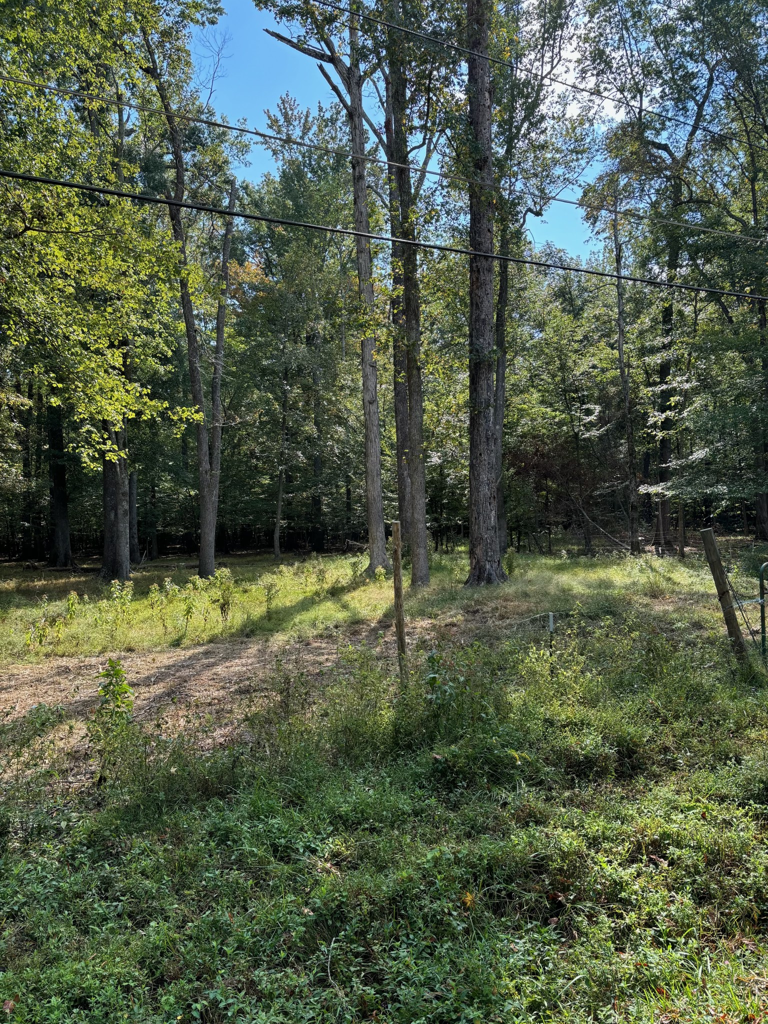 0 Willow Oak Road