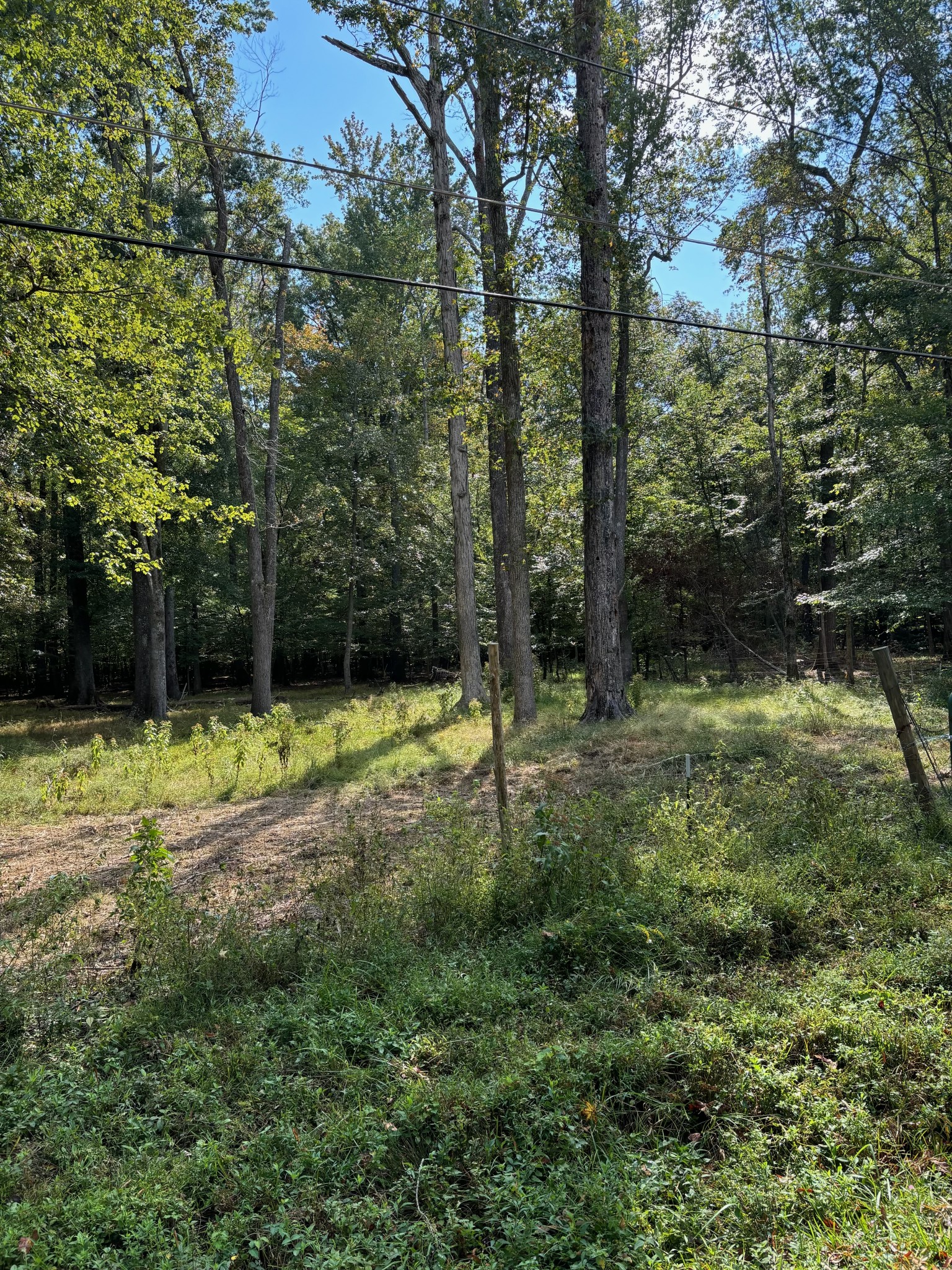 0 Willow Oak Road