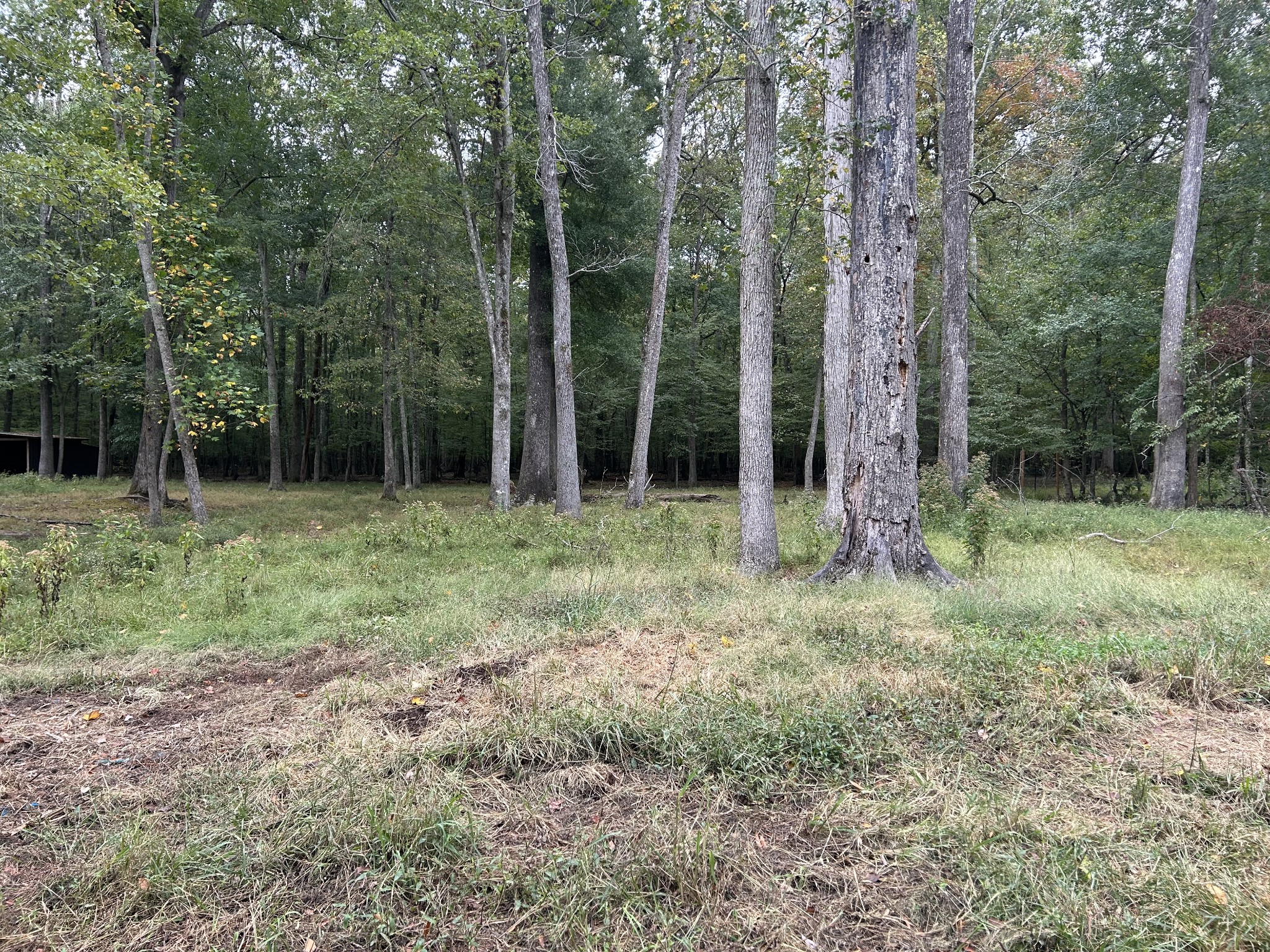 0 Willow Oak Road