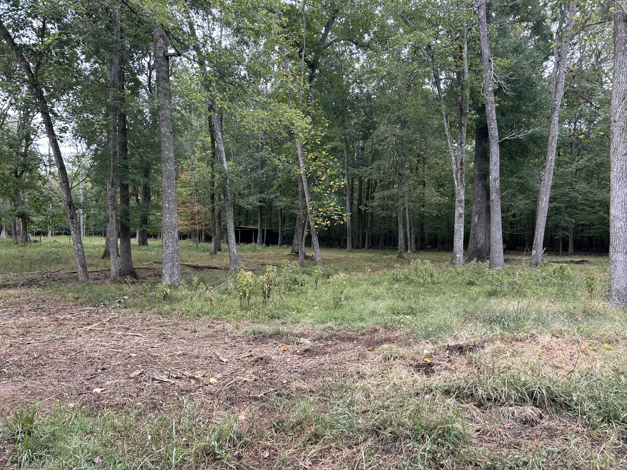 0 Willow Oak Road