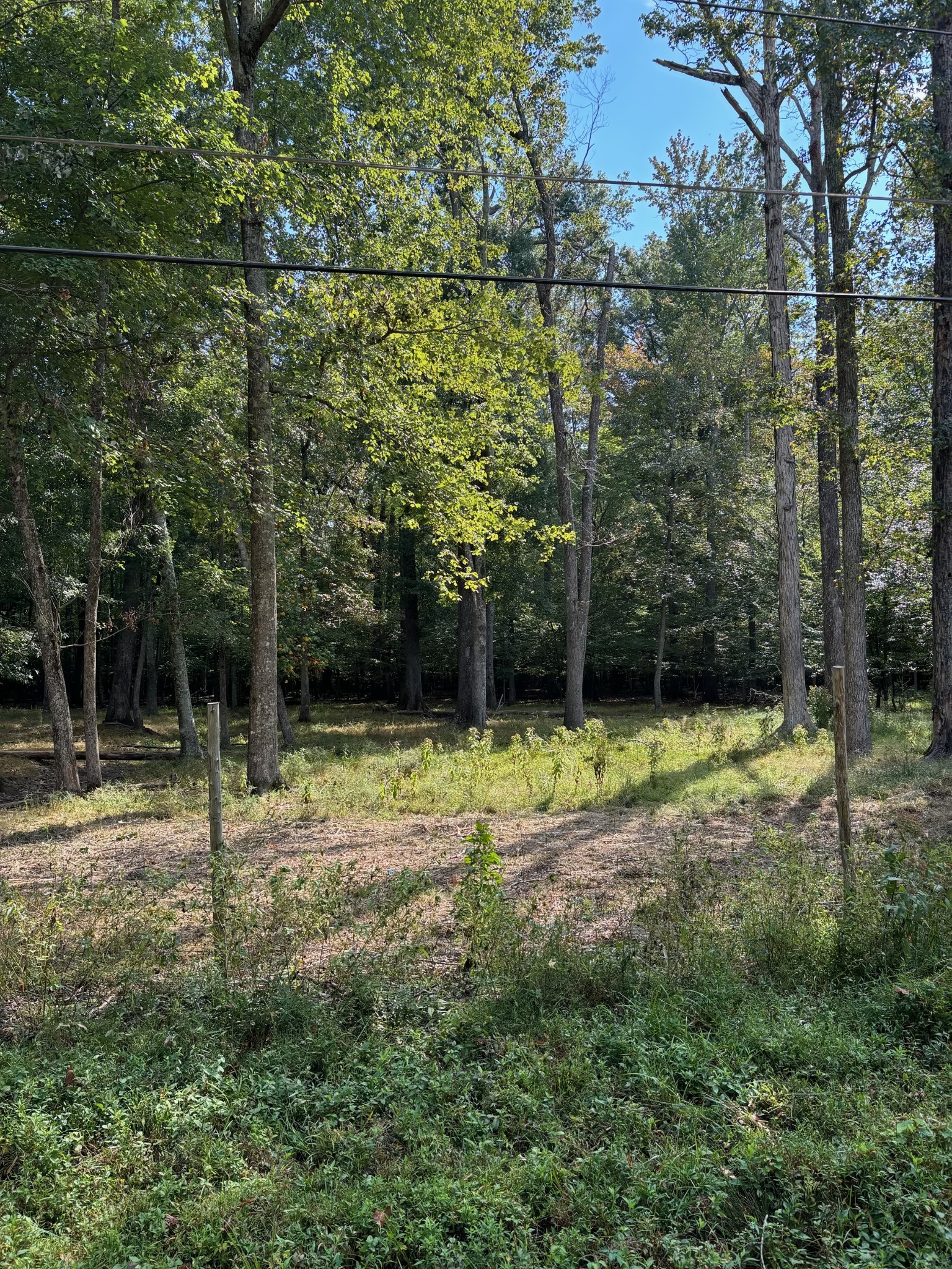 0 Willow Oak Road