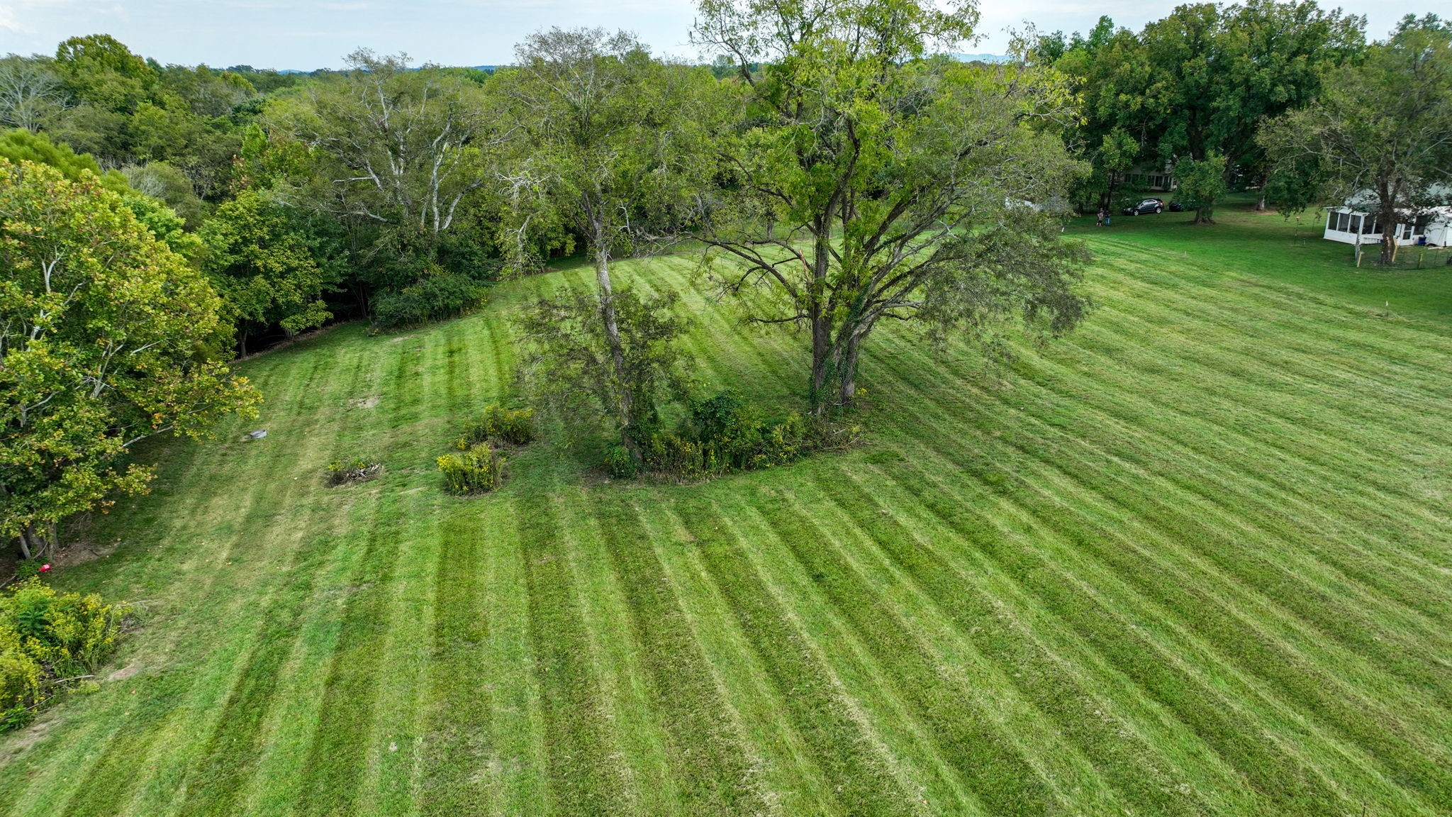 2125 Tulip Hill Dr