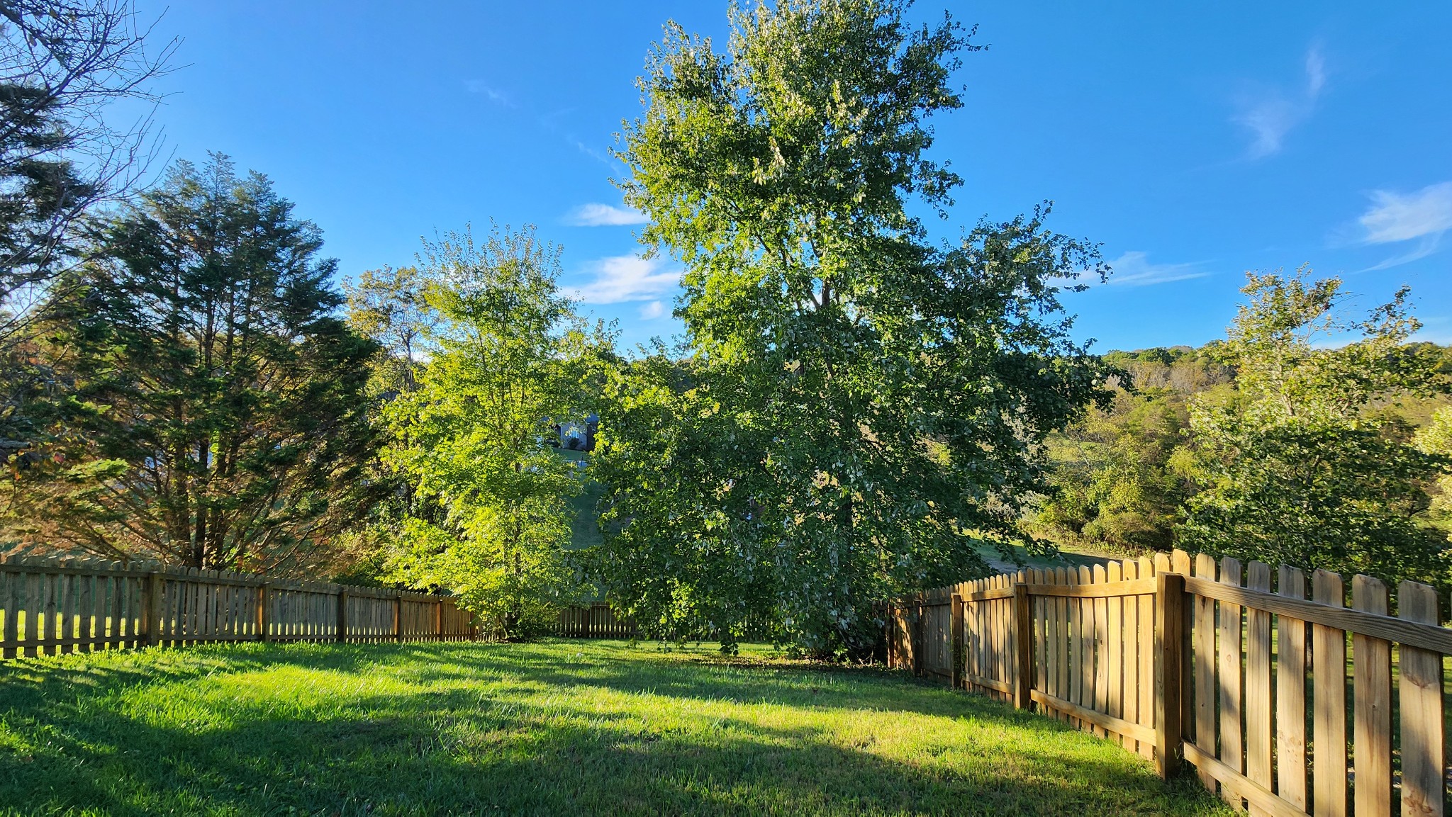 135 Wynlands Cir