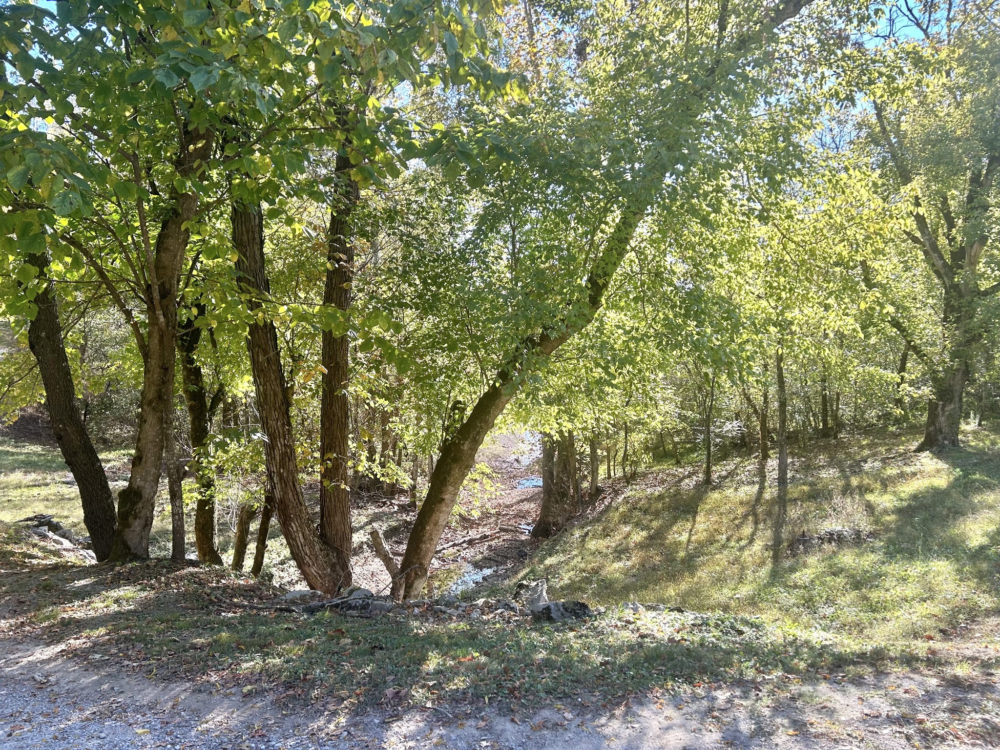 0 Roberts Ridge