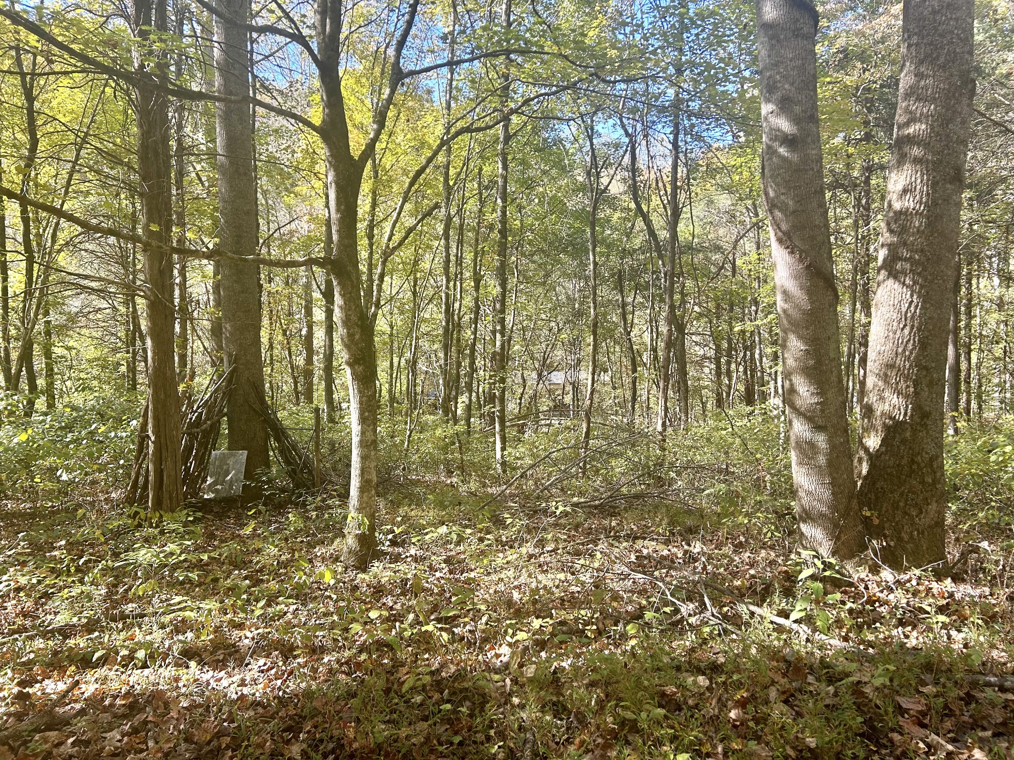 0 Roberts Ridge