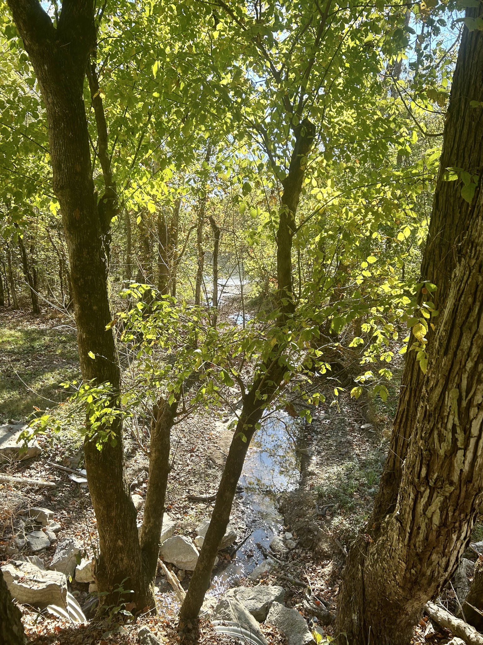 0 Roberts Ridge