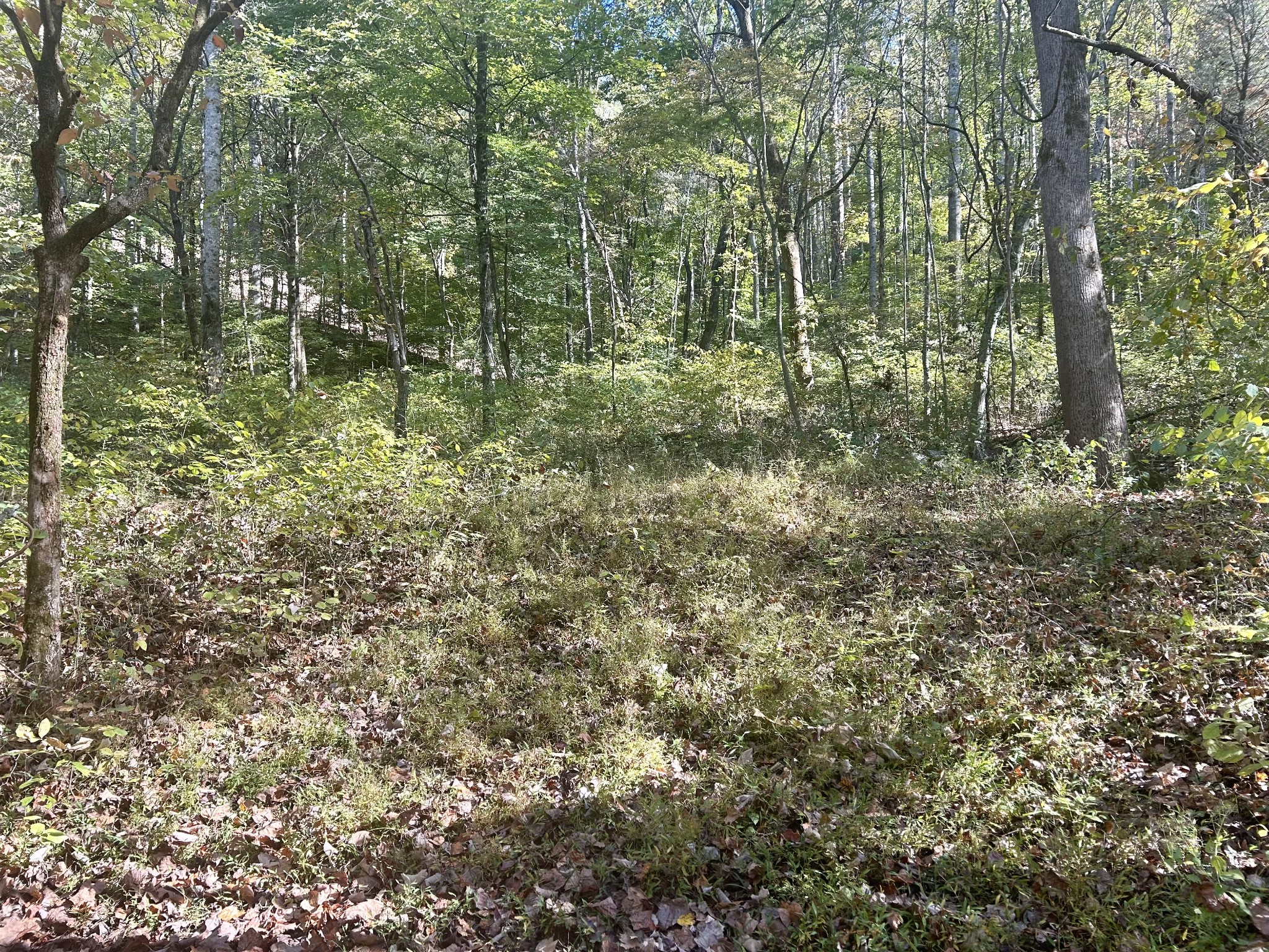 0 Roberts Ridge