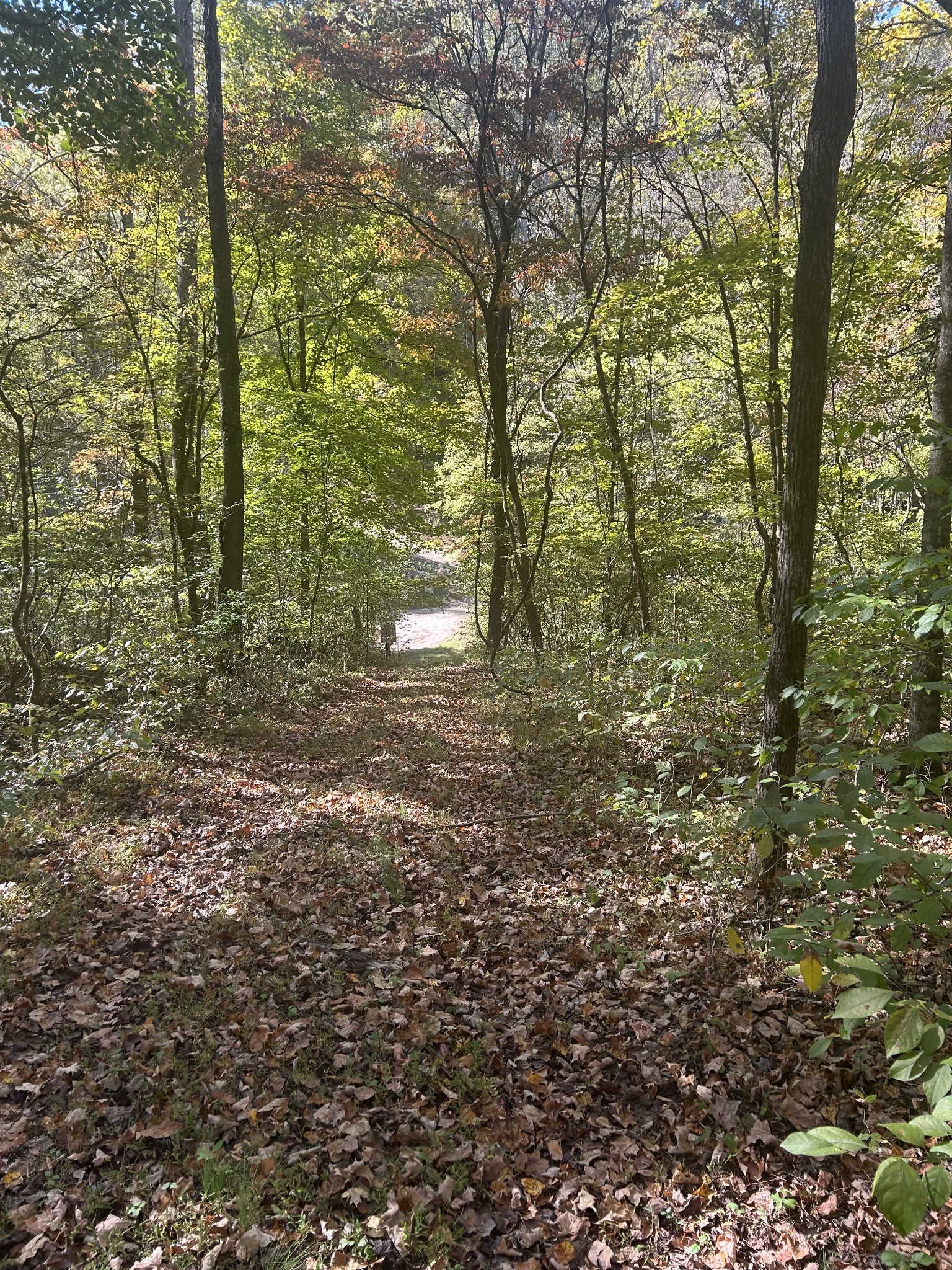 0 Roberts Ridge