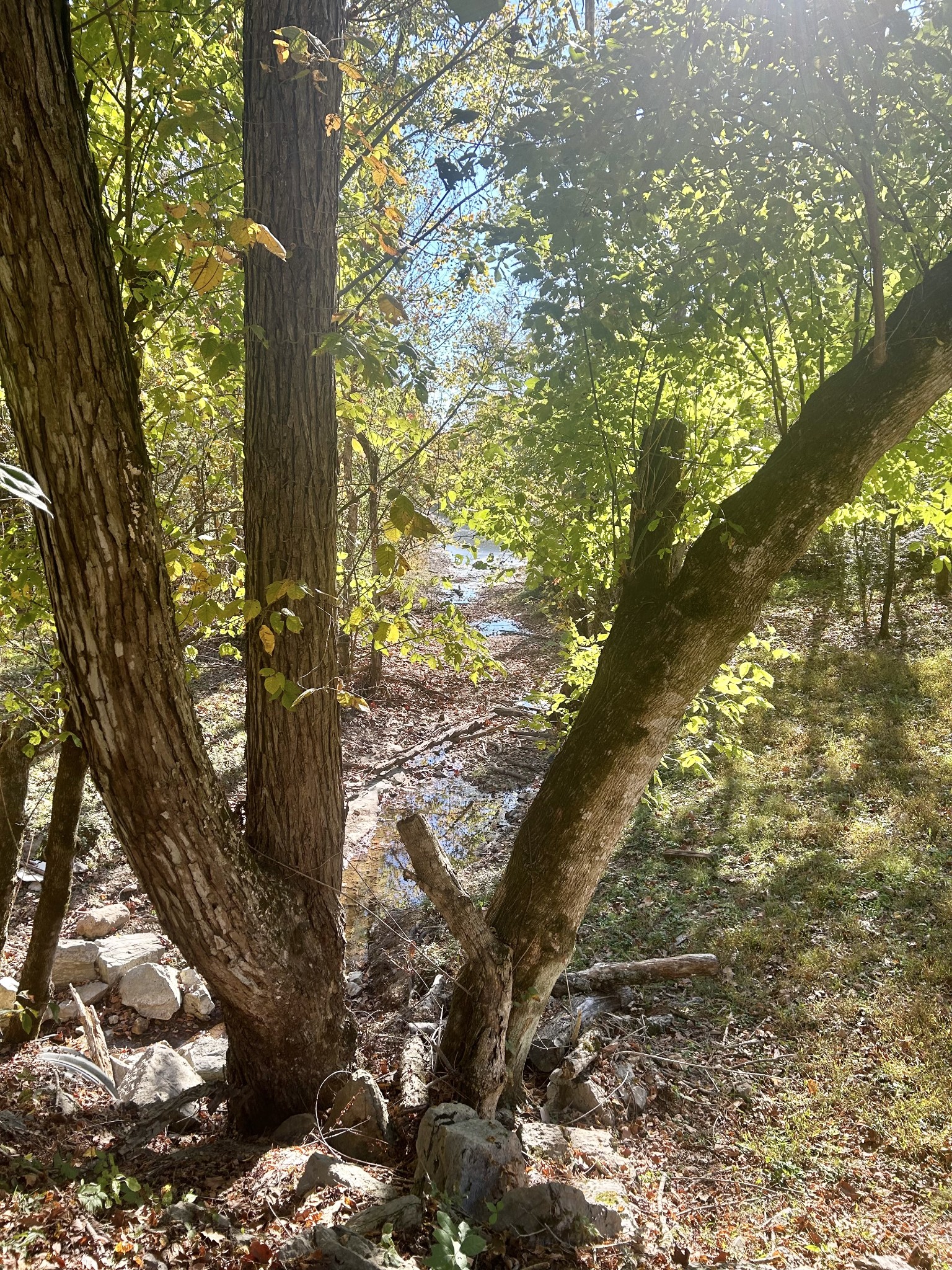 0 Roberts Ridge