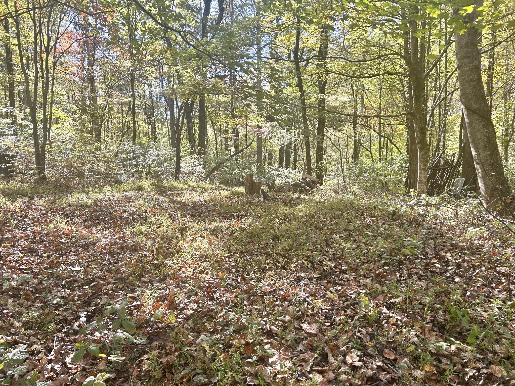 0 Roberts Ridge