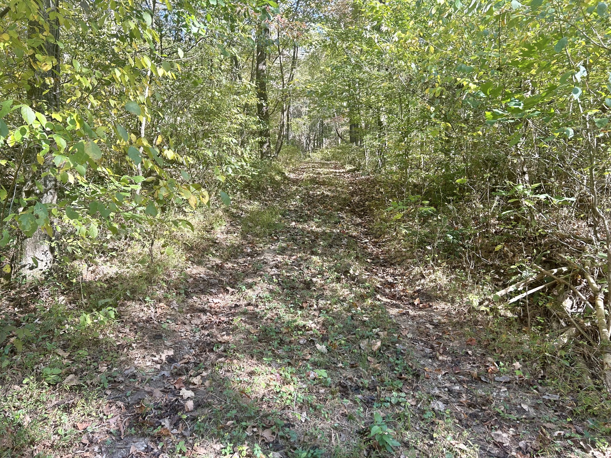 0 Roberts Ridge