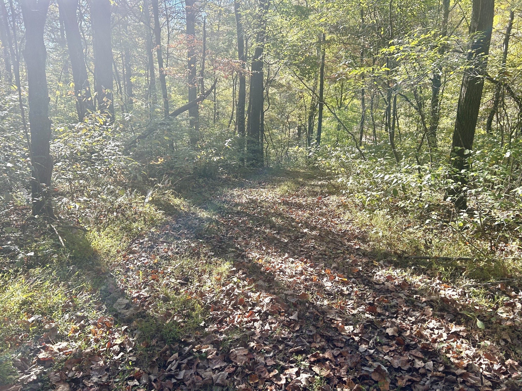 0 Roberts Ridge