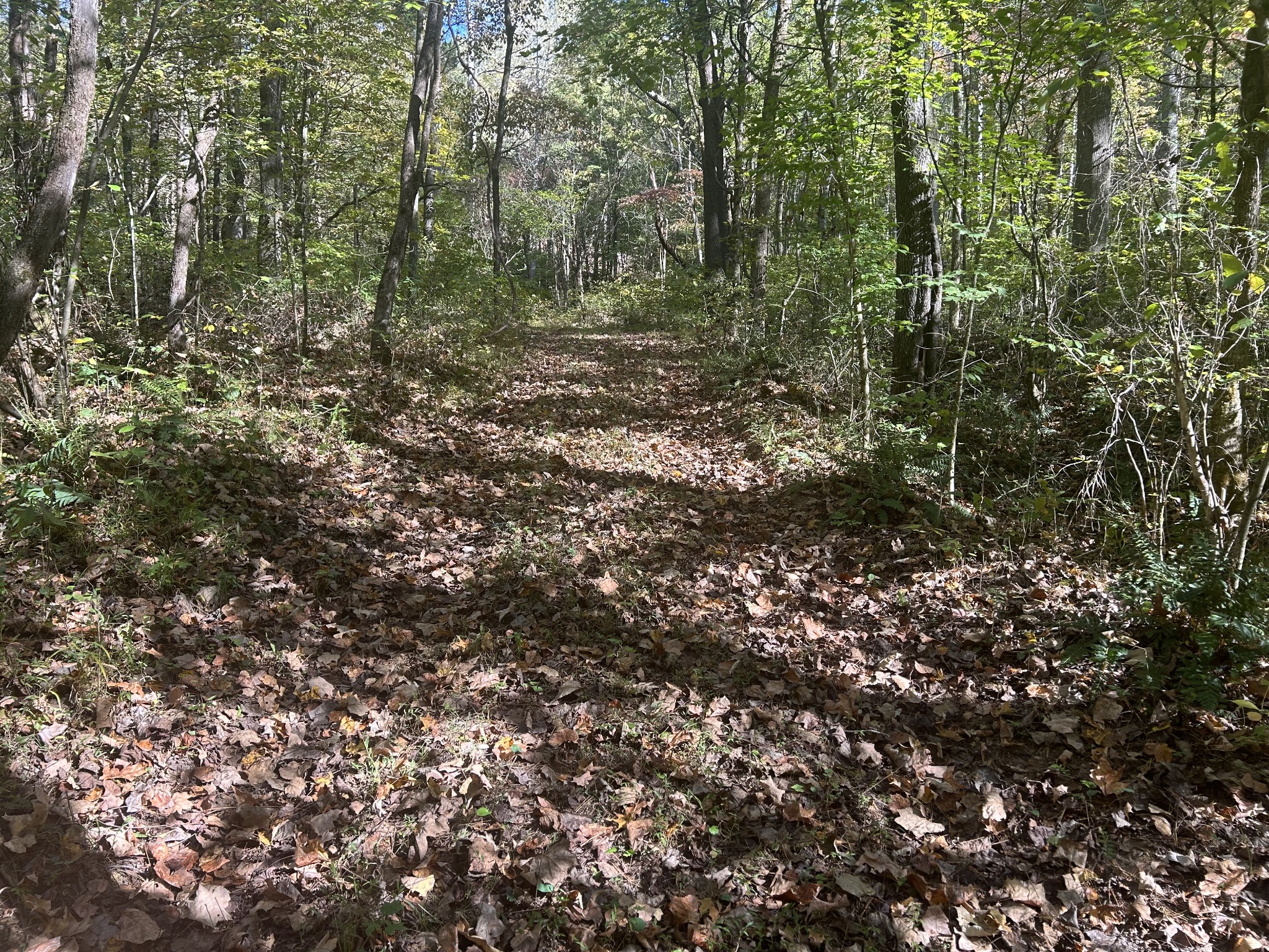 0 Roberts Ridge