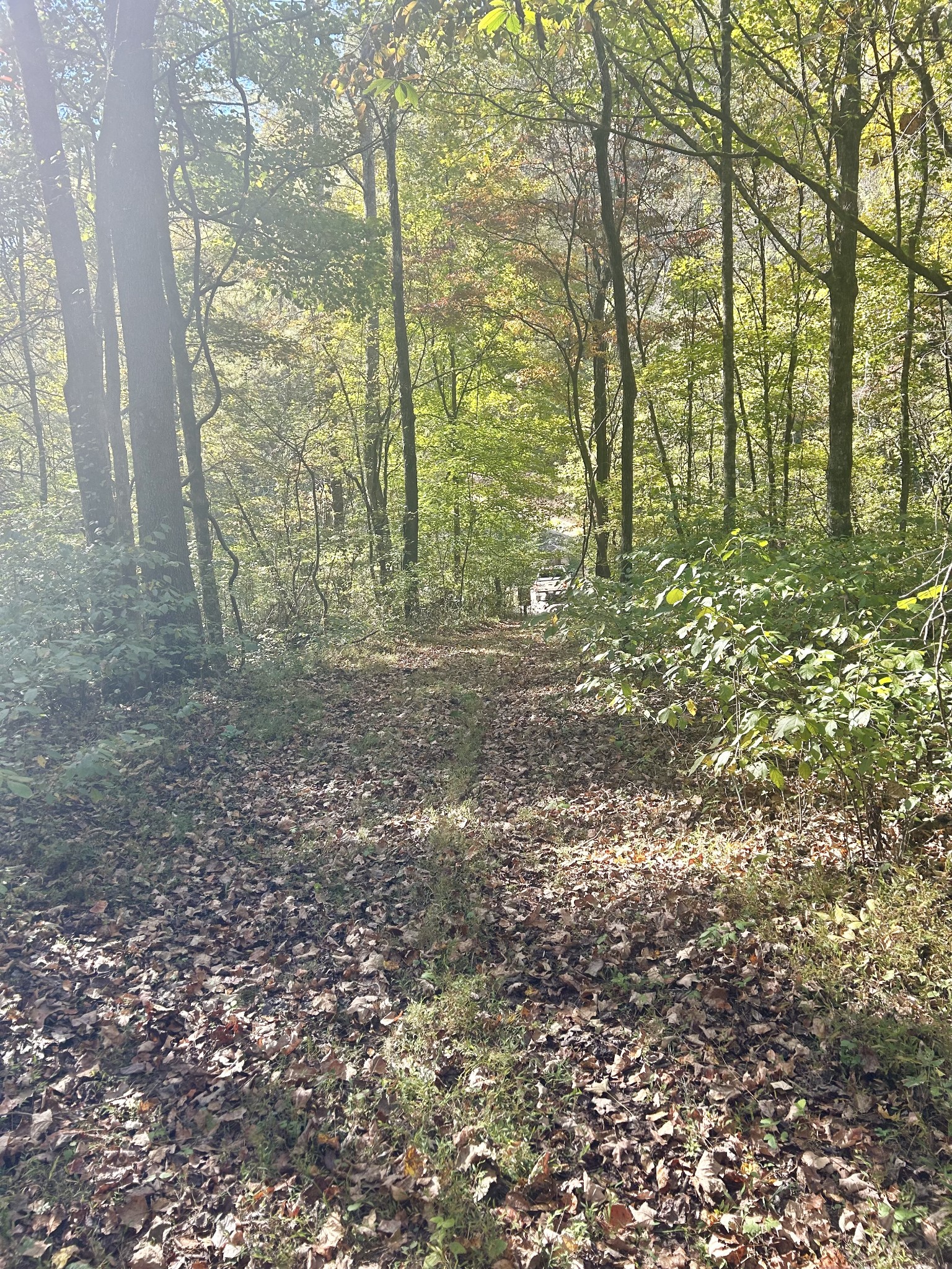 0 Roberts Ridge