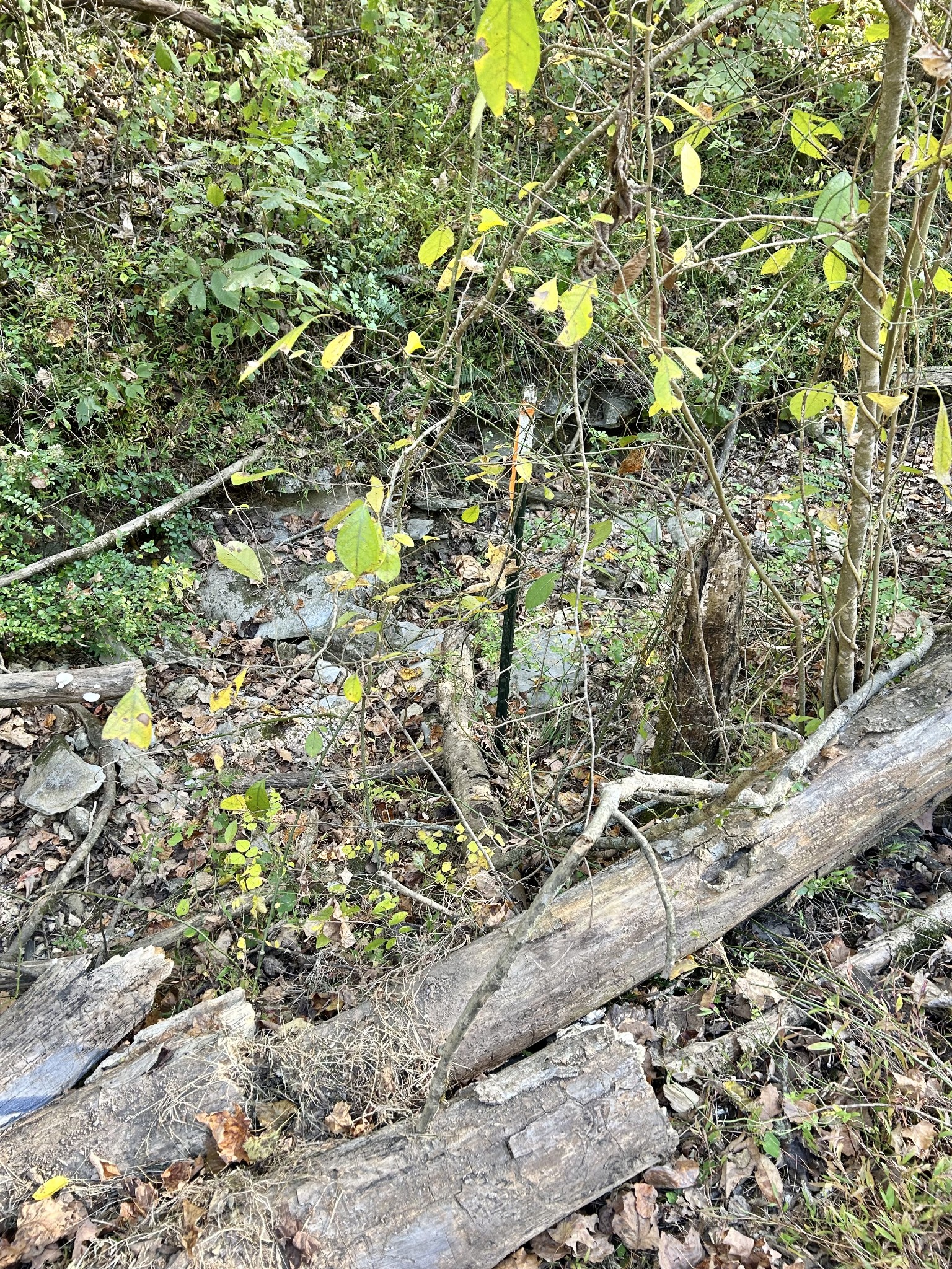 0 Roberts Ridge