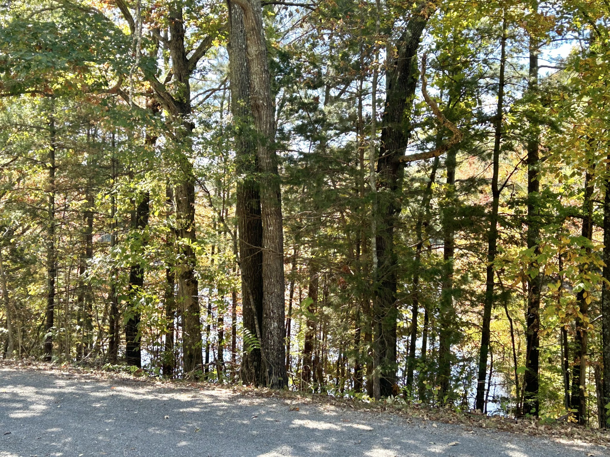 823 Toliver Lake Rd