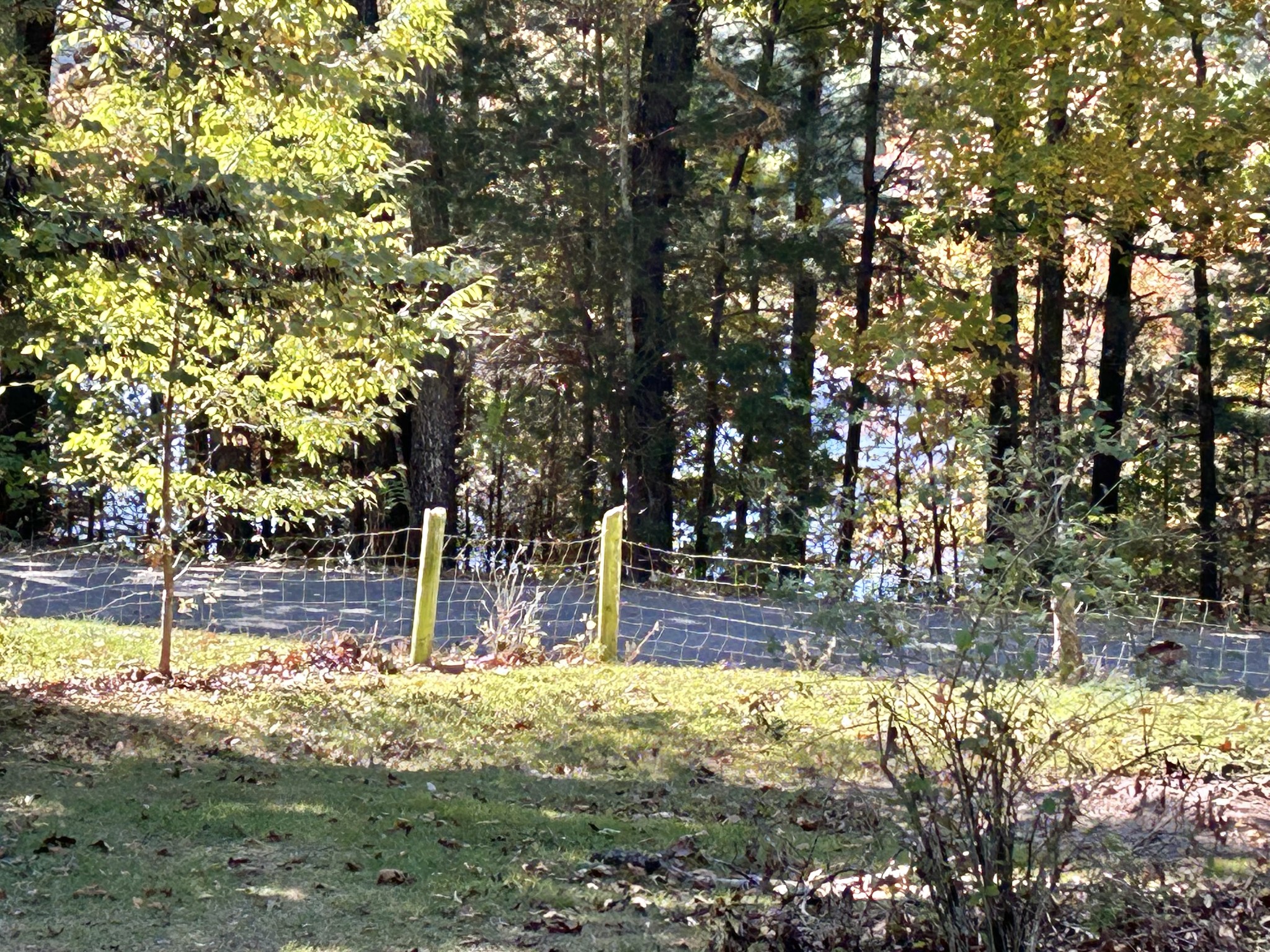823 Toliver Lake Rd