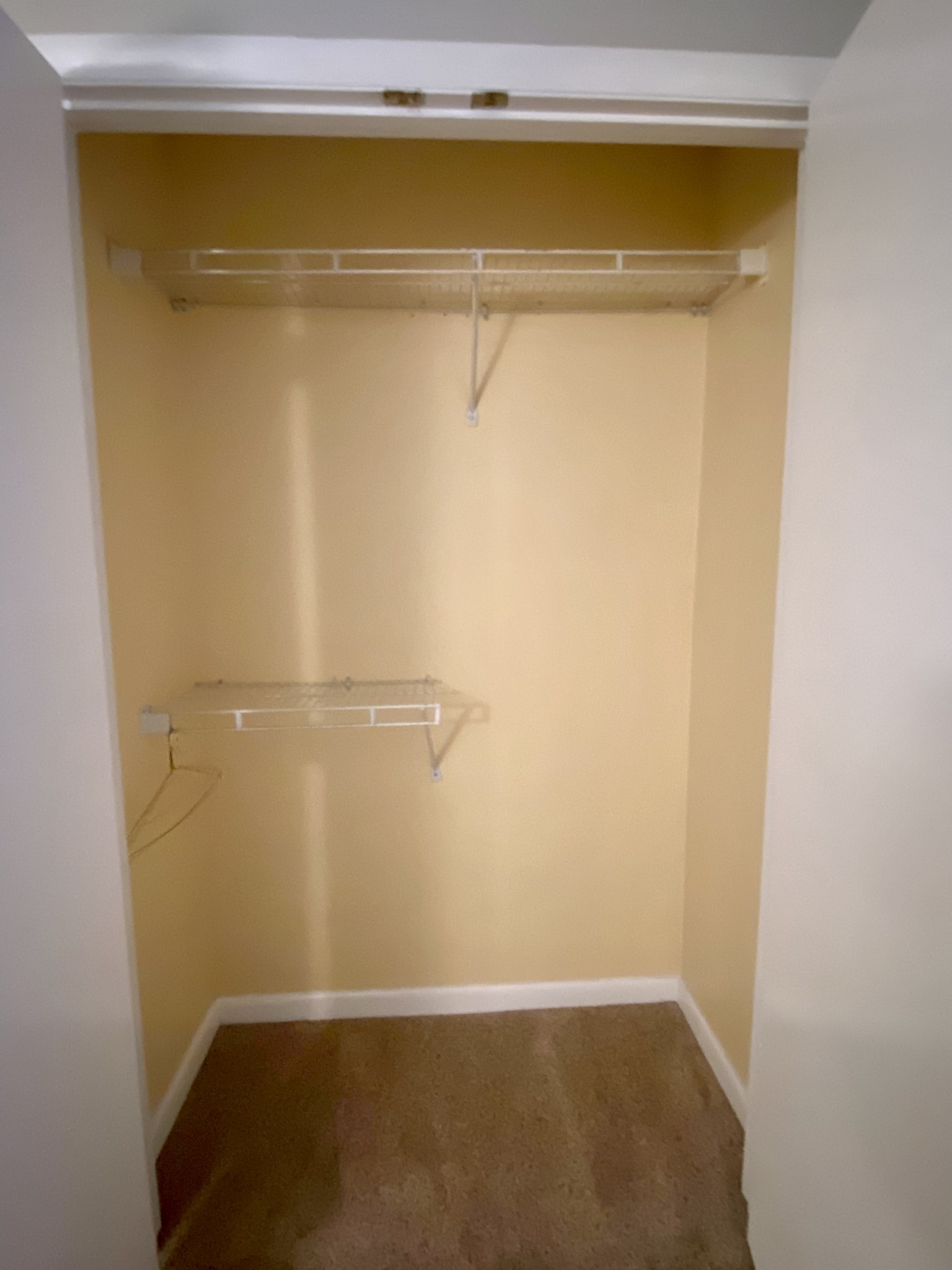 1245 Old Lascassas Road Unit: E1